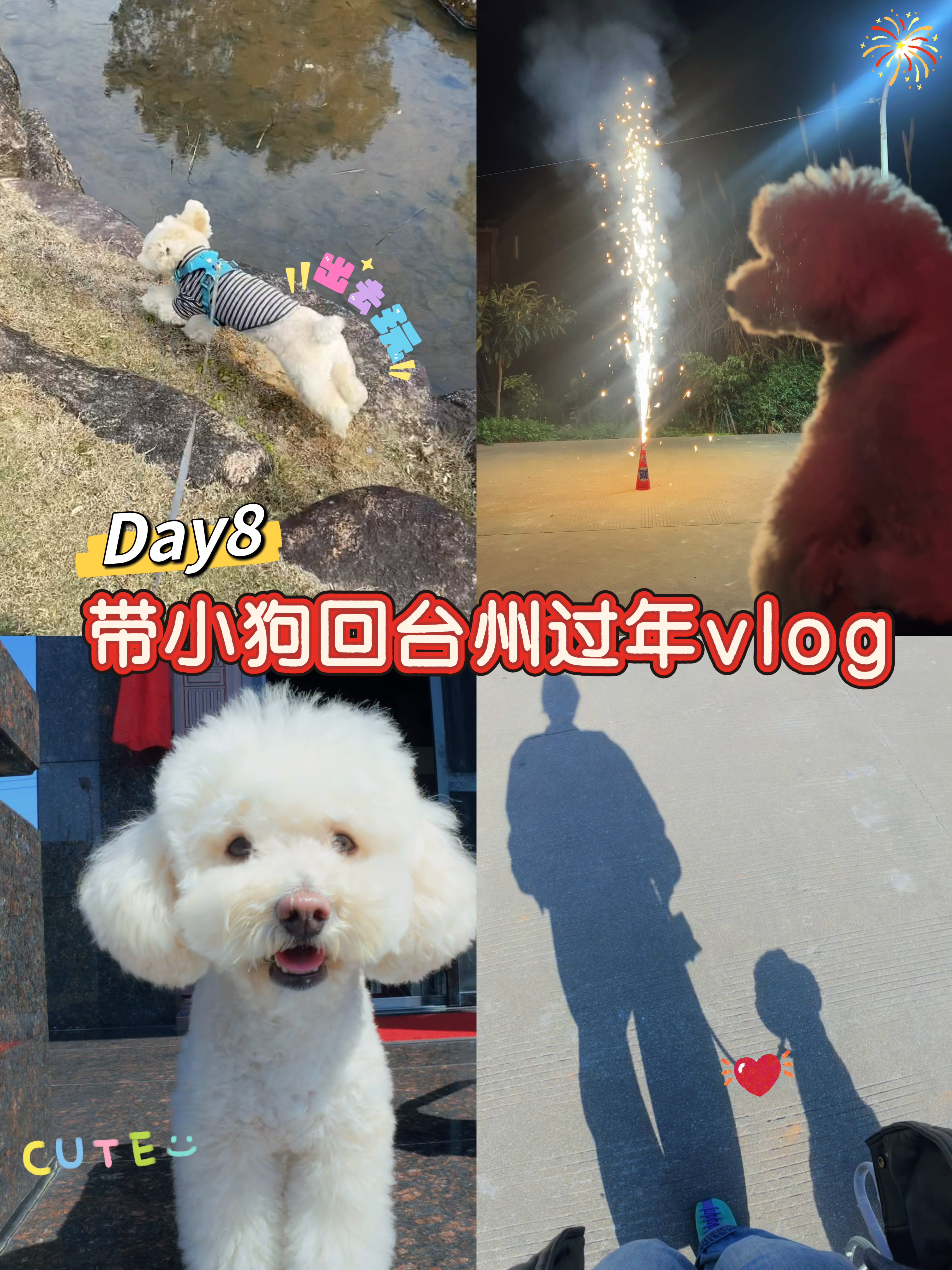 Vlog带小狗回台州过年-Day8