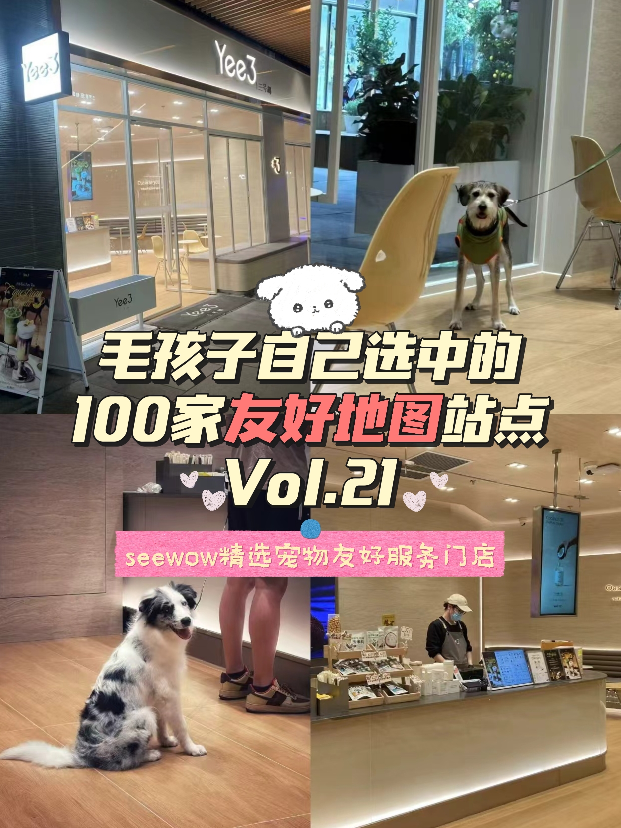 宠物友好地图第21站｜Yee3·三号椰