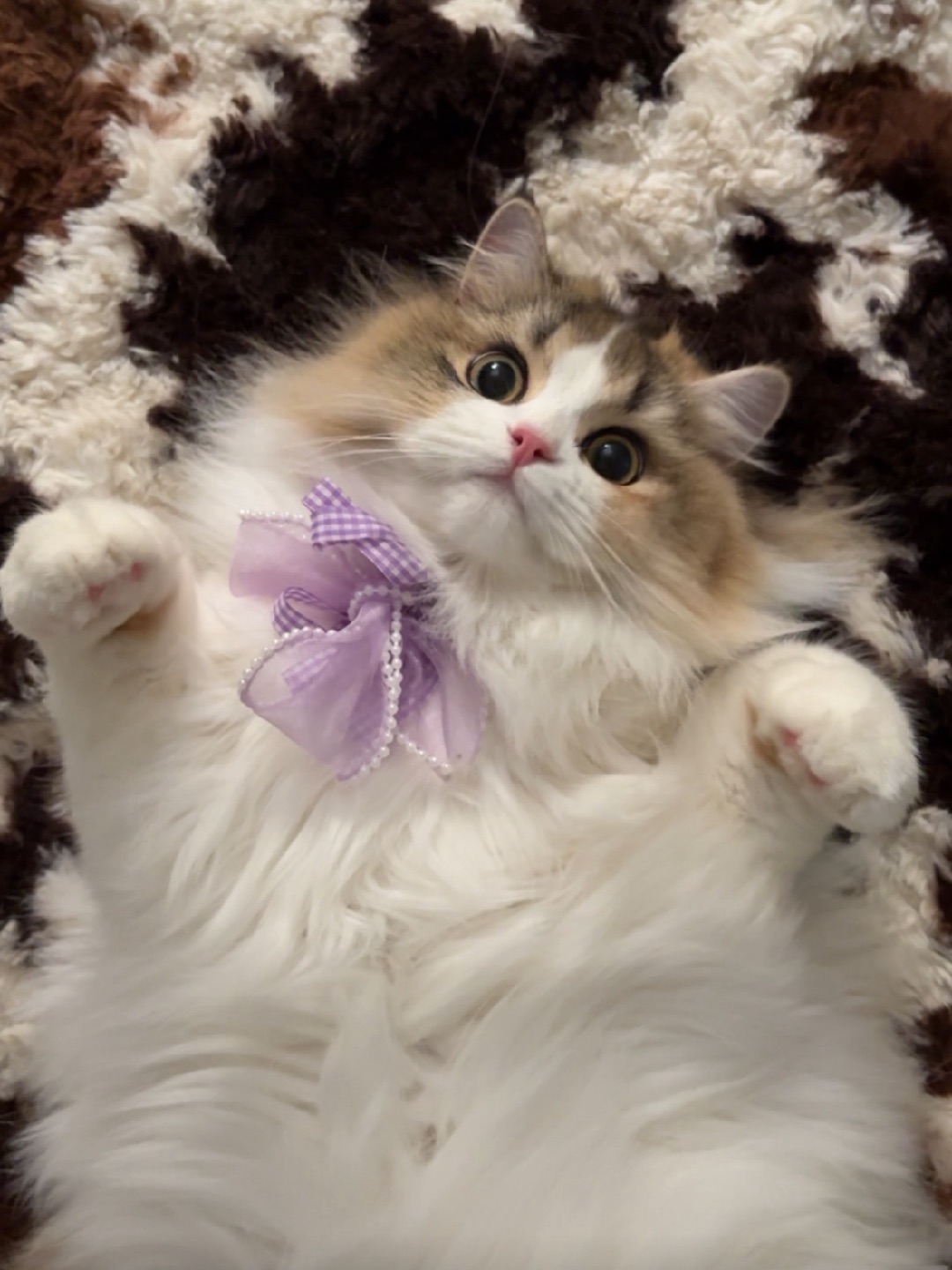 小鼻嘎长大啦！