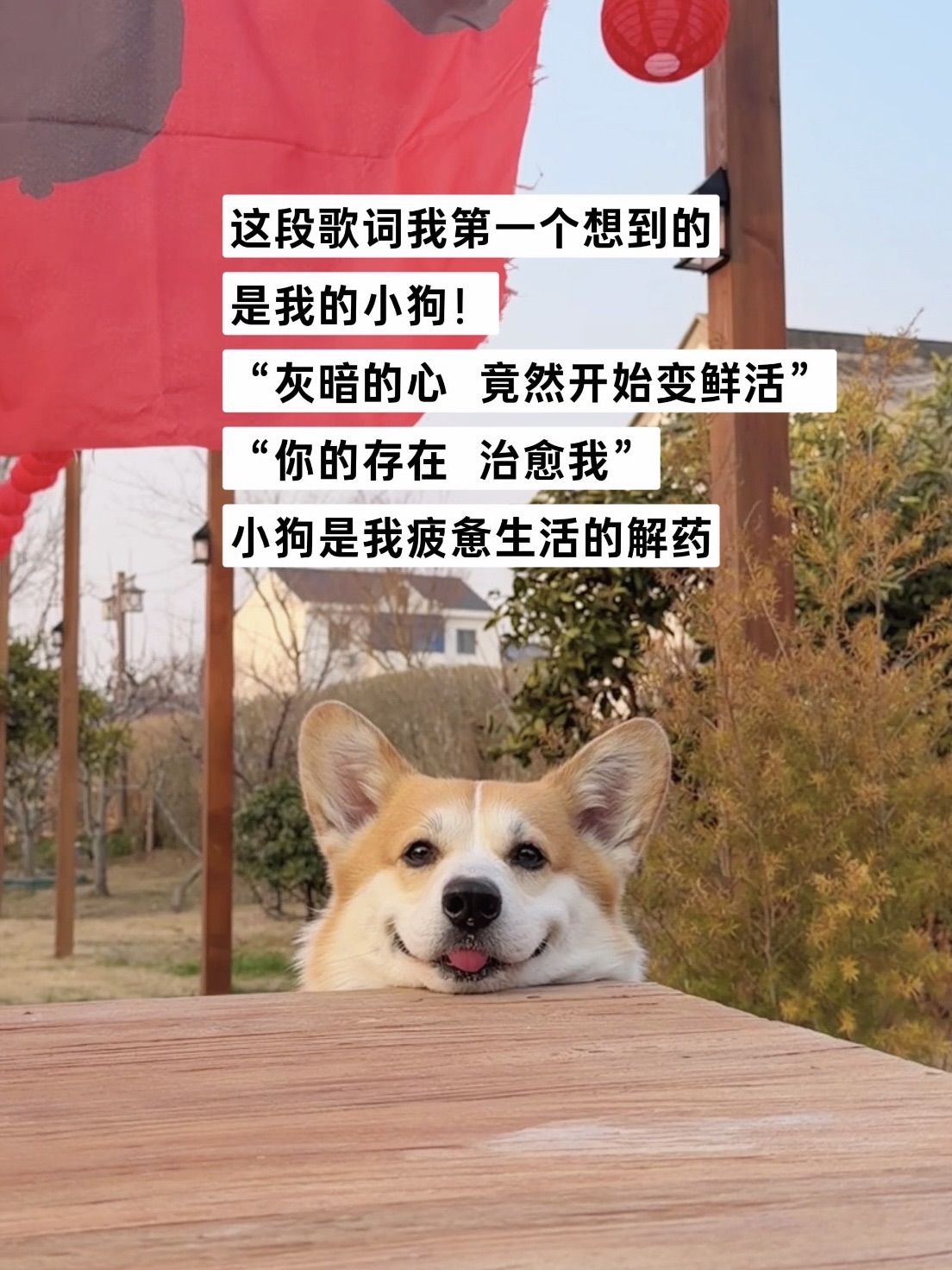“灰暗的心竟然开始变鲜活 你的存在治愈我”