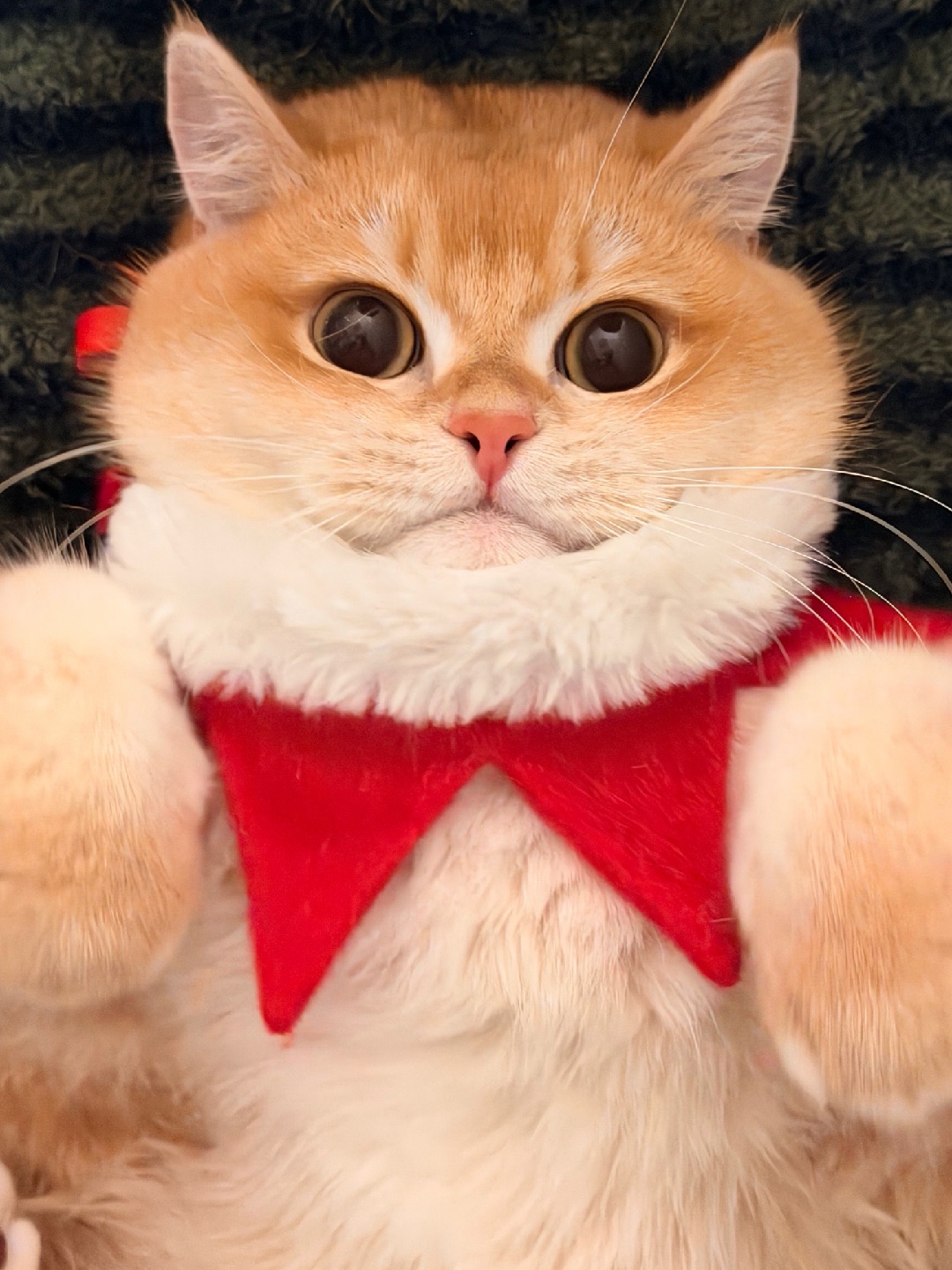 我这“击掌碰碰手”的姿势，是不是帅到没朋友？