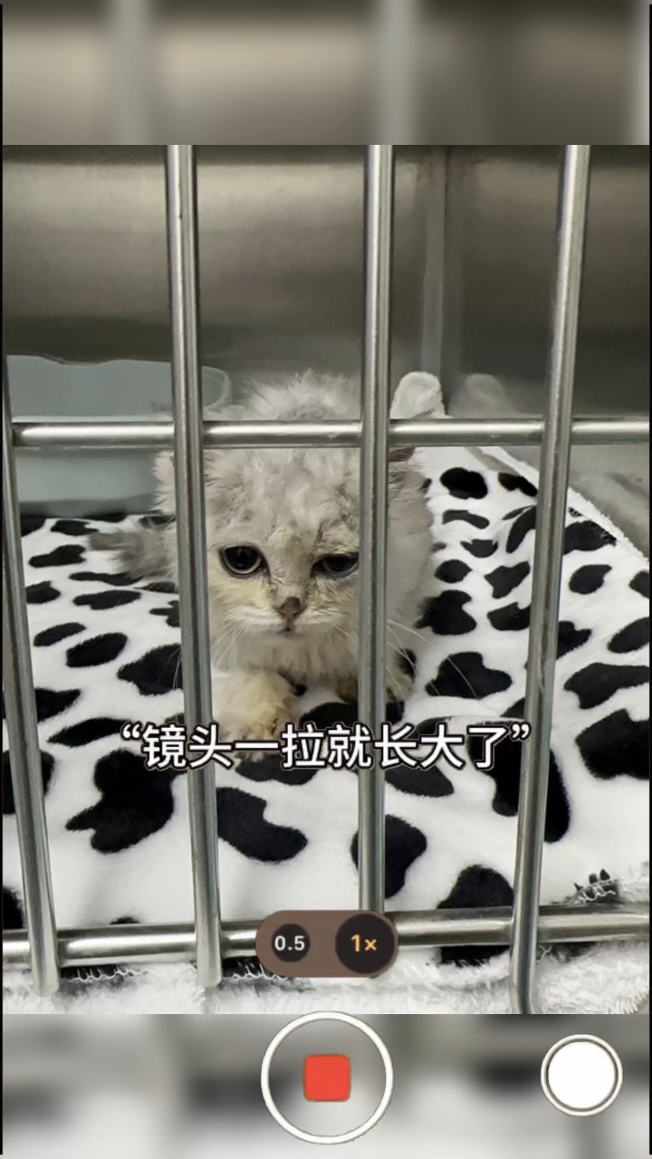 一眨眼就这样了