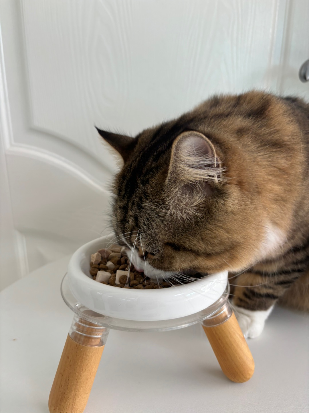 哈哈_(:D)∠)_哈哈(*´・ｖ・)哈哈  ᖰ⌯'▾'⌯ᖳ哈哈_(:D)∠)_