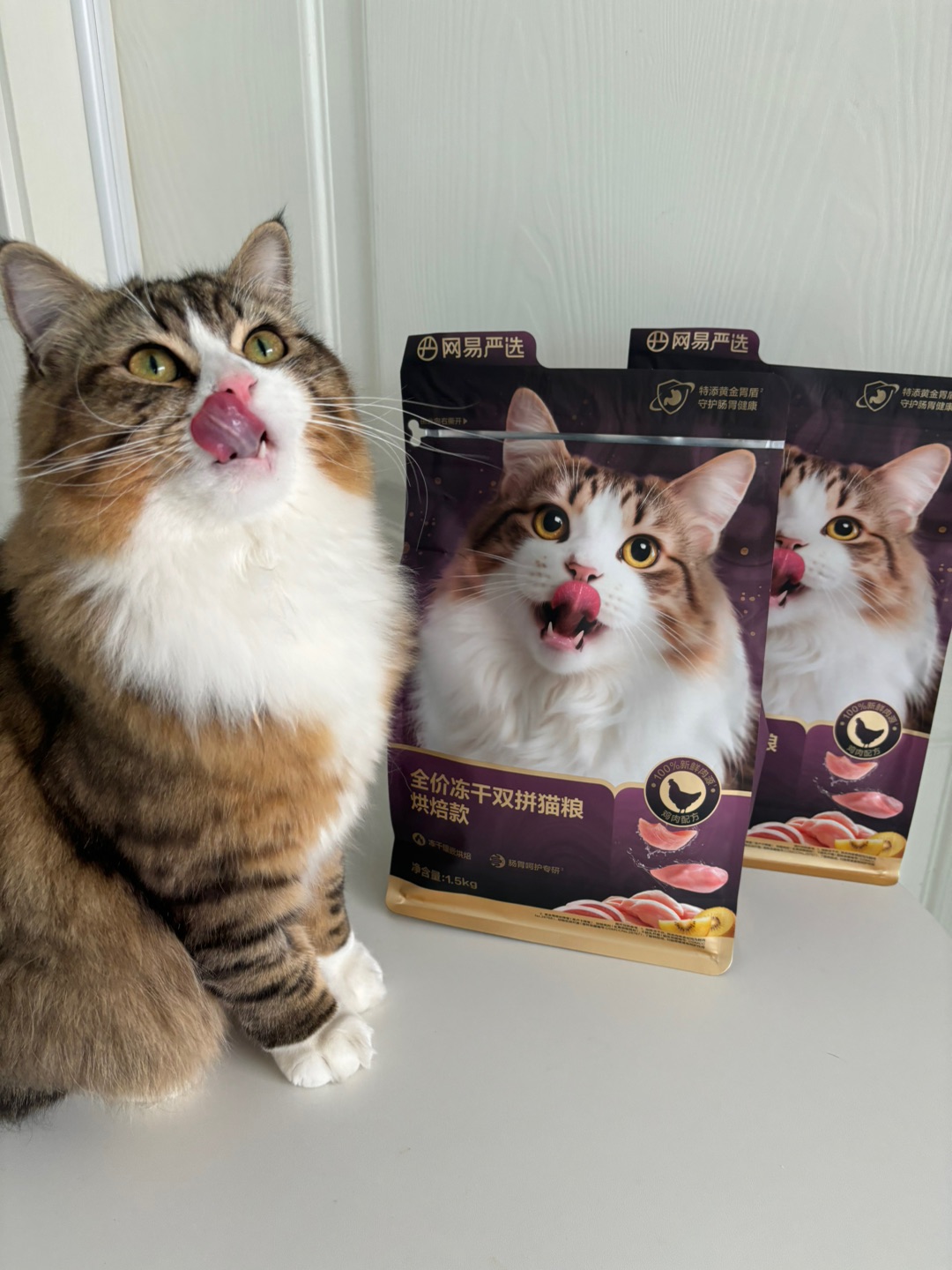 哈哈_(:D)∠)_哈哈(*´・ｖ・)哈哈  ᖰ⌯'▾'⌯ᖳ哈哈_(:D)∠)_