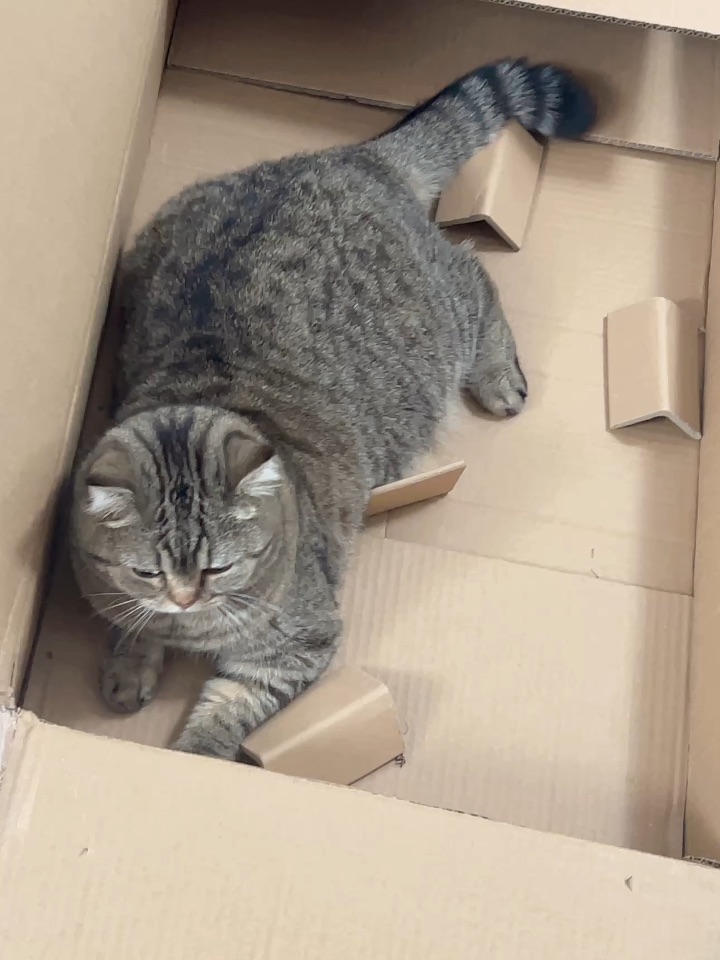 衣架架都没有带好哦哈哈啊这件事情也可以用很多年呀打