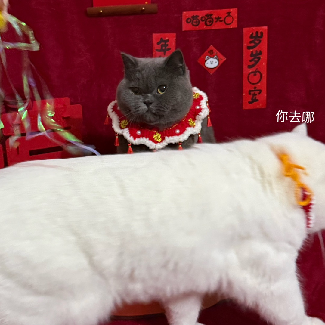 🧨年味道具大撤退