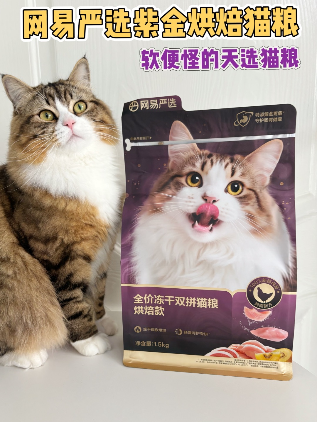 哈哈(◍•ᴗ•◍)( ´ ▽ ` )ノ哈哈哈哈(〃'▽'〃)哈哈