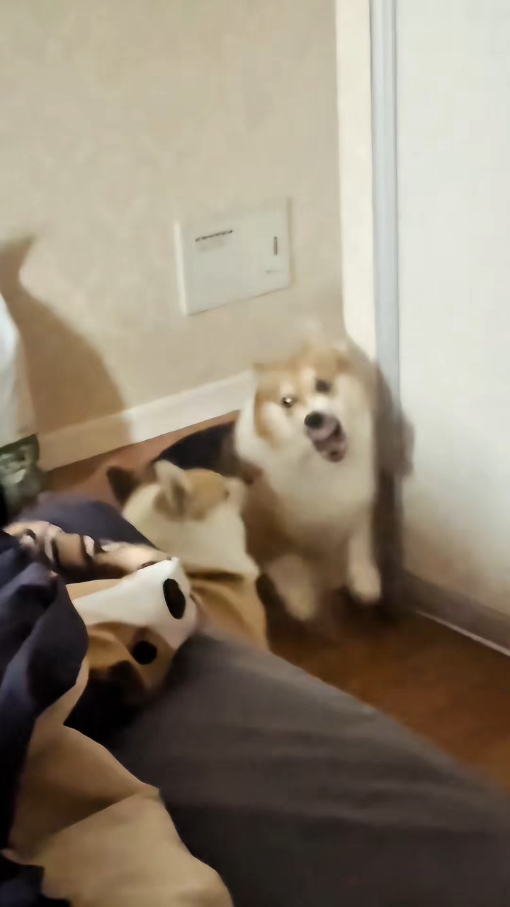 直到把对方逼急了