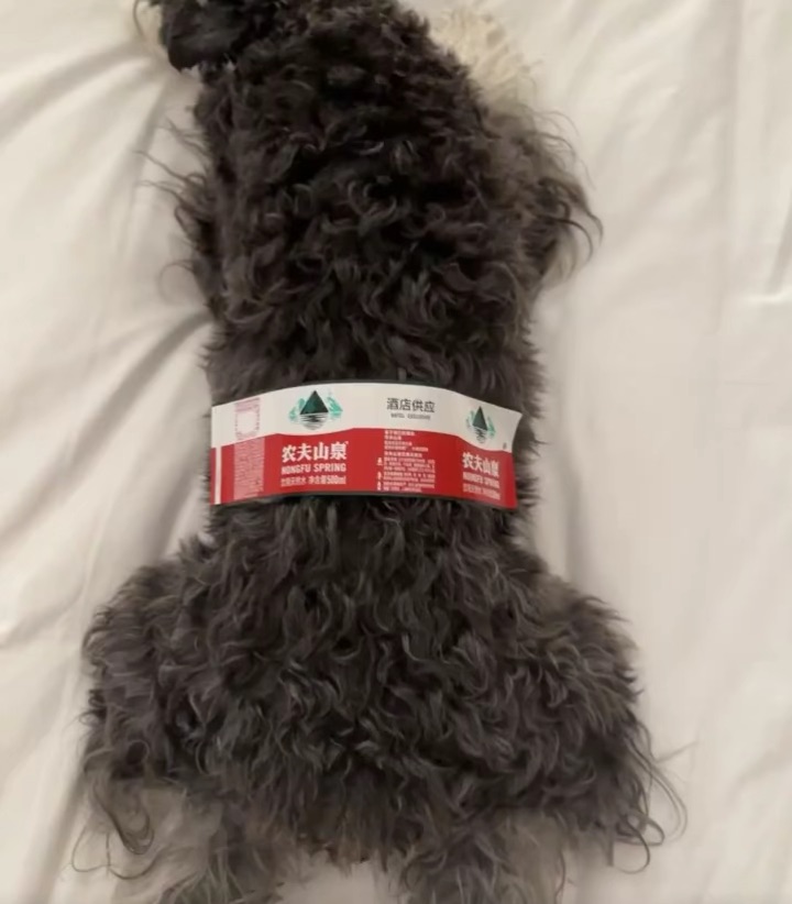 帮我看下这瓶矿泉水正不正宗