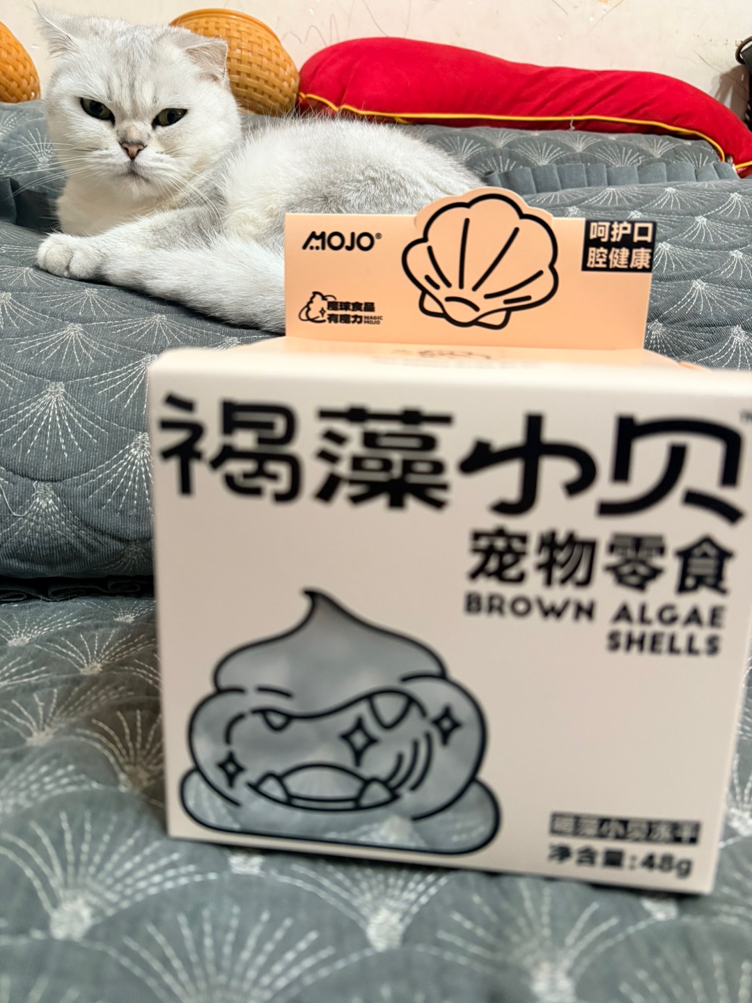 营养+洁牙双buff✨小咪还很喜欢