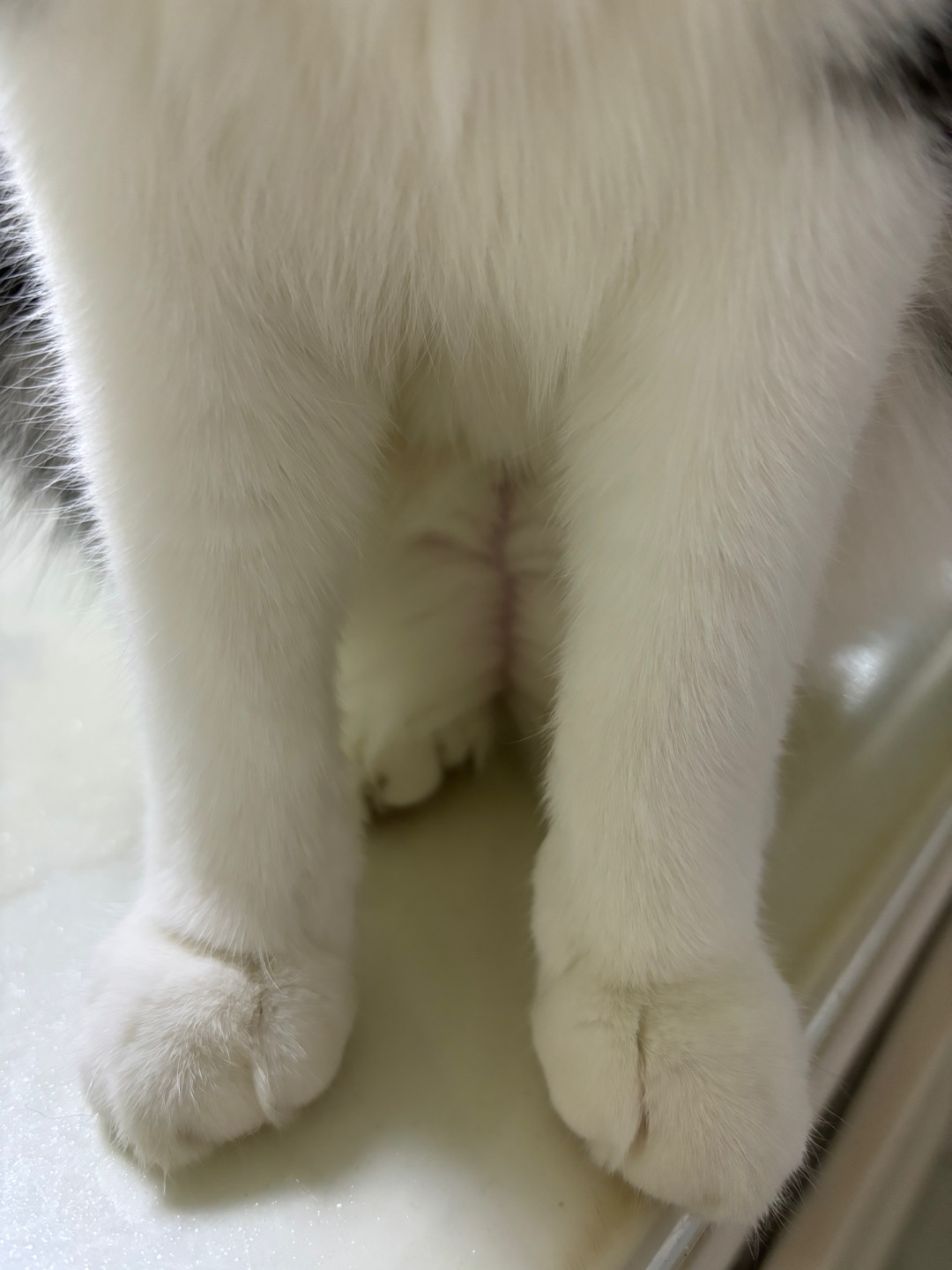 哈哈˙ᗜ˙哈哈(◍•ᴗ•◍)哈哈(❁´ω`❁)哈哈  ᖰ⌯'▾'⌯ᖳ