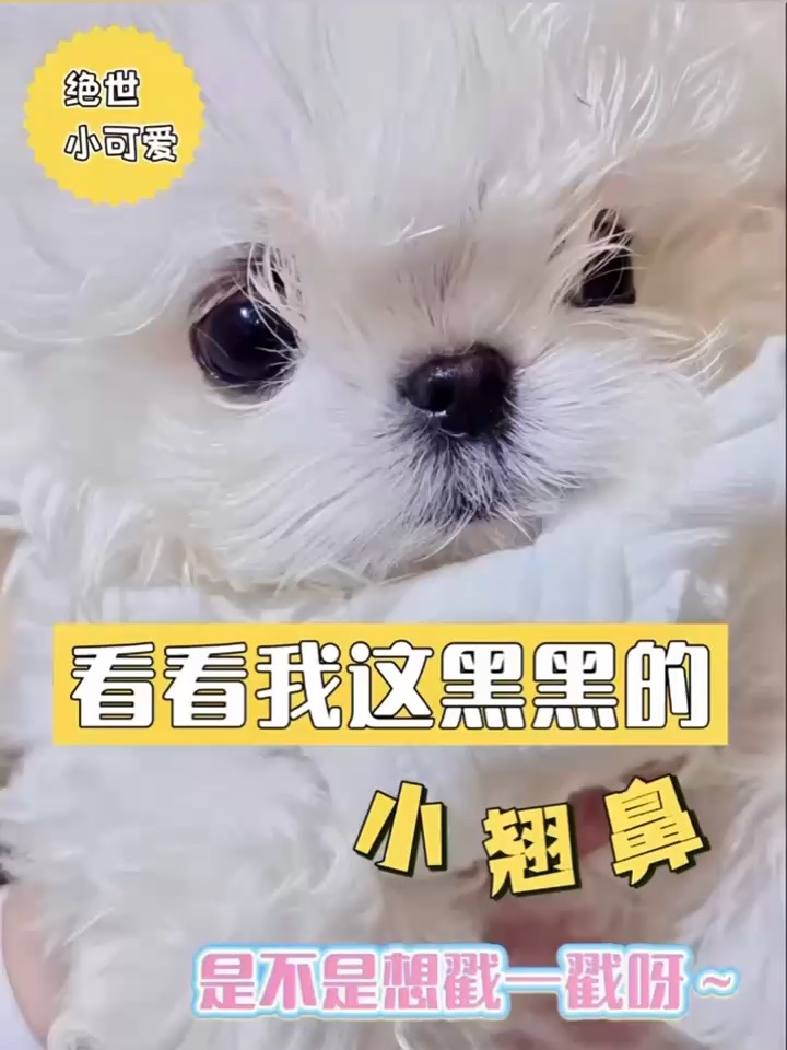 这么可爱，那一定是男孩子啦🤭