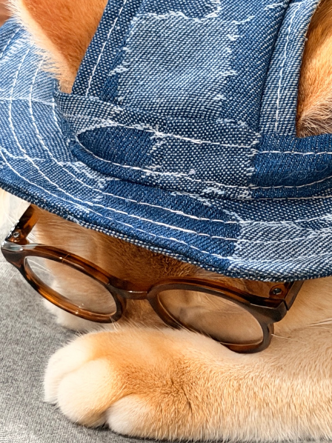 我不想上班❗️不想上班❗️