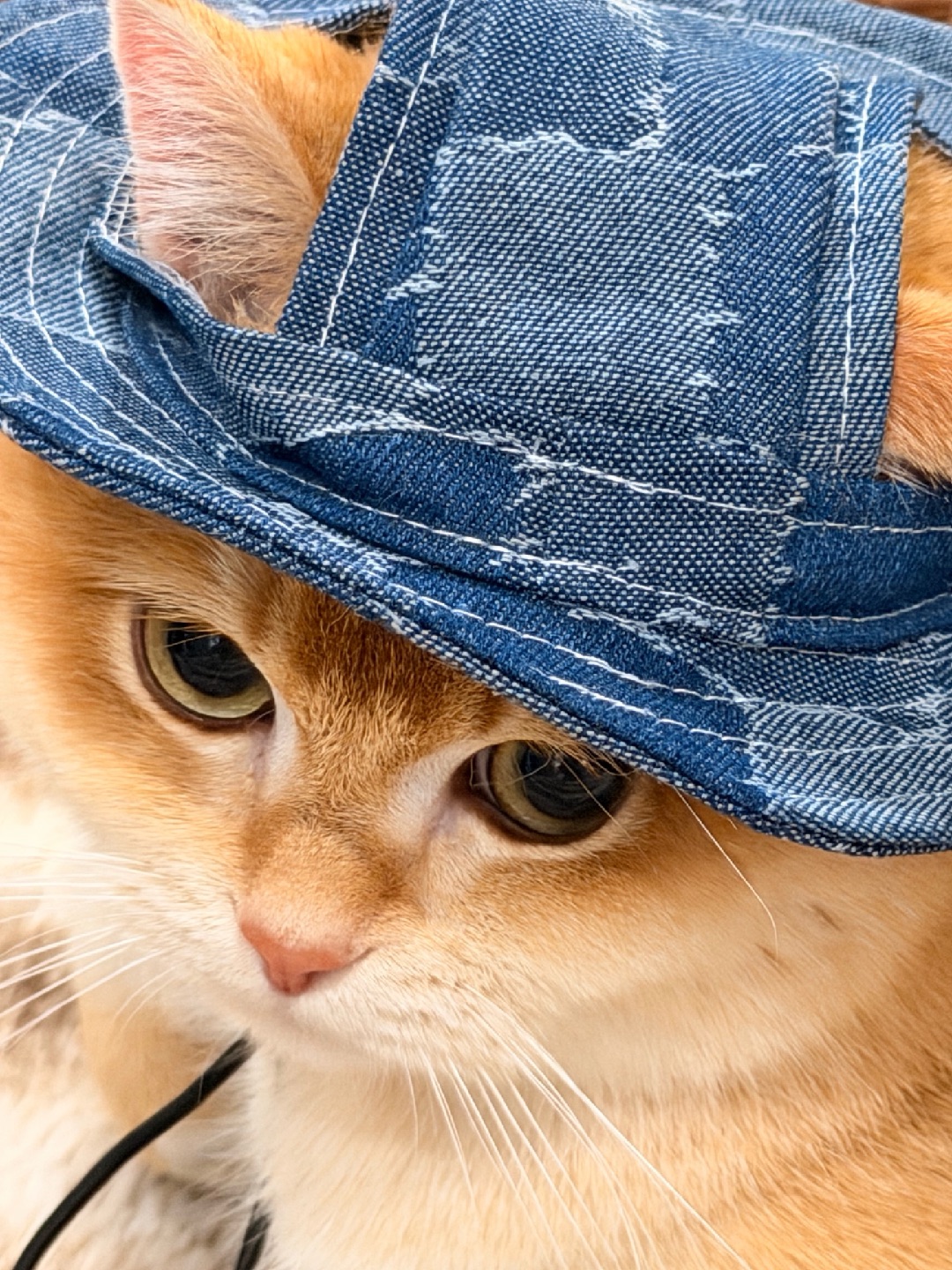 我的jiojio在哪里🧐