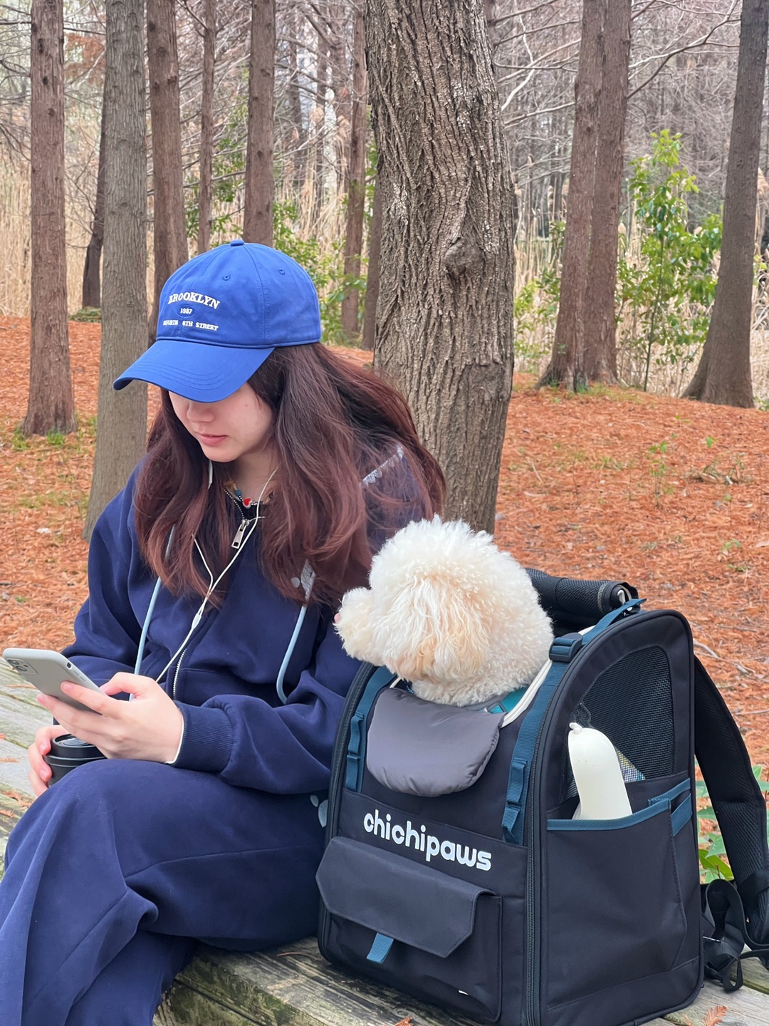 上海遛狗好去处｜嘉定新城滑板公园