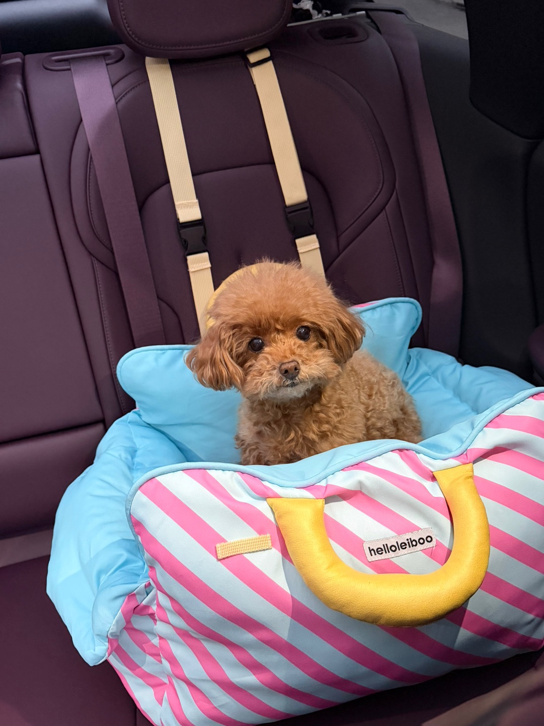 Helloleiboo车载窝测评