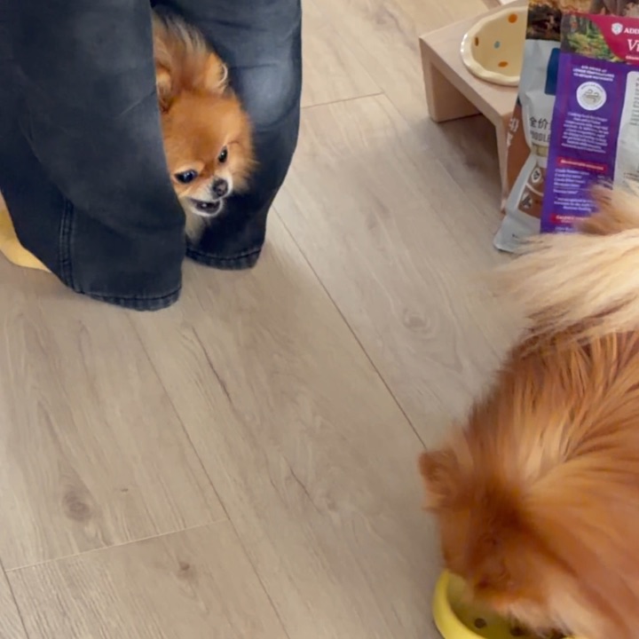 你小汁给我等着！！