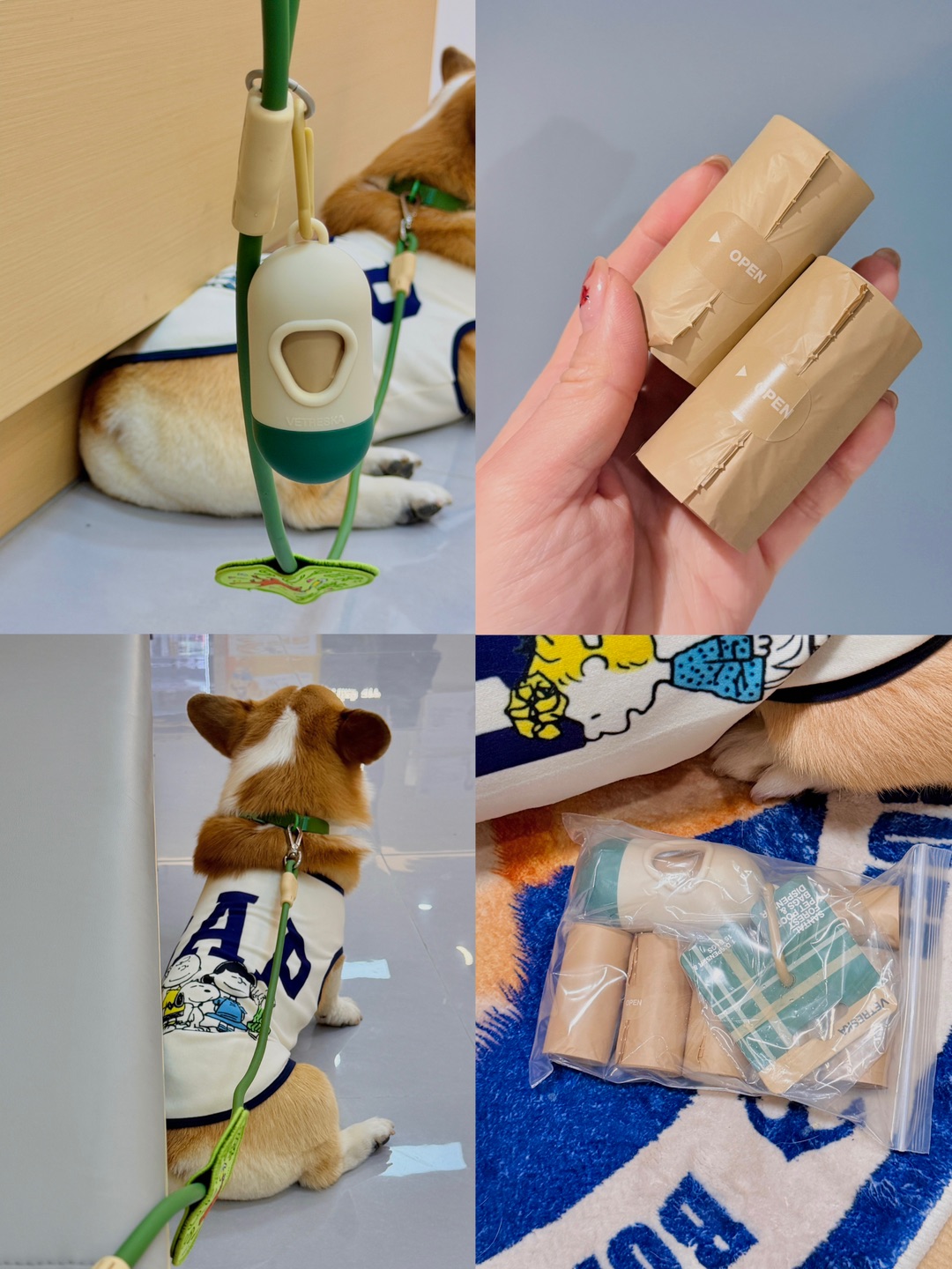 小狗出行好物推荐🎉小小一袋干净整洁👍🏻