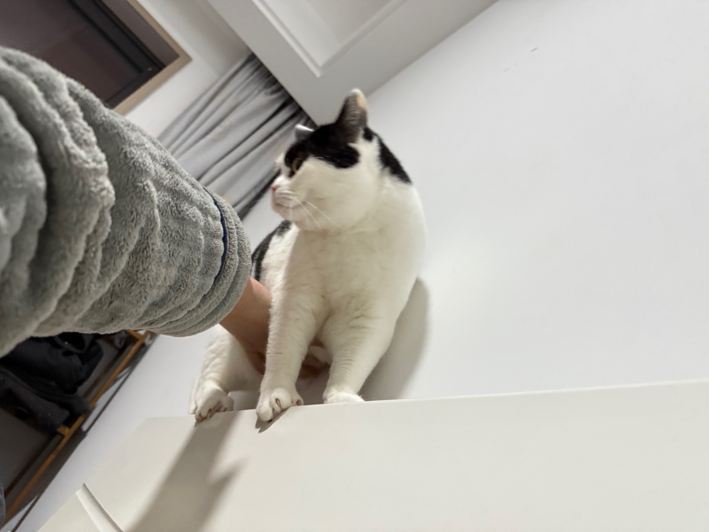 飞檐走壁被逮捕