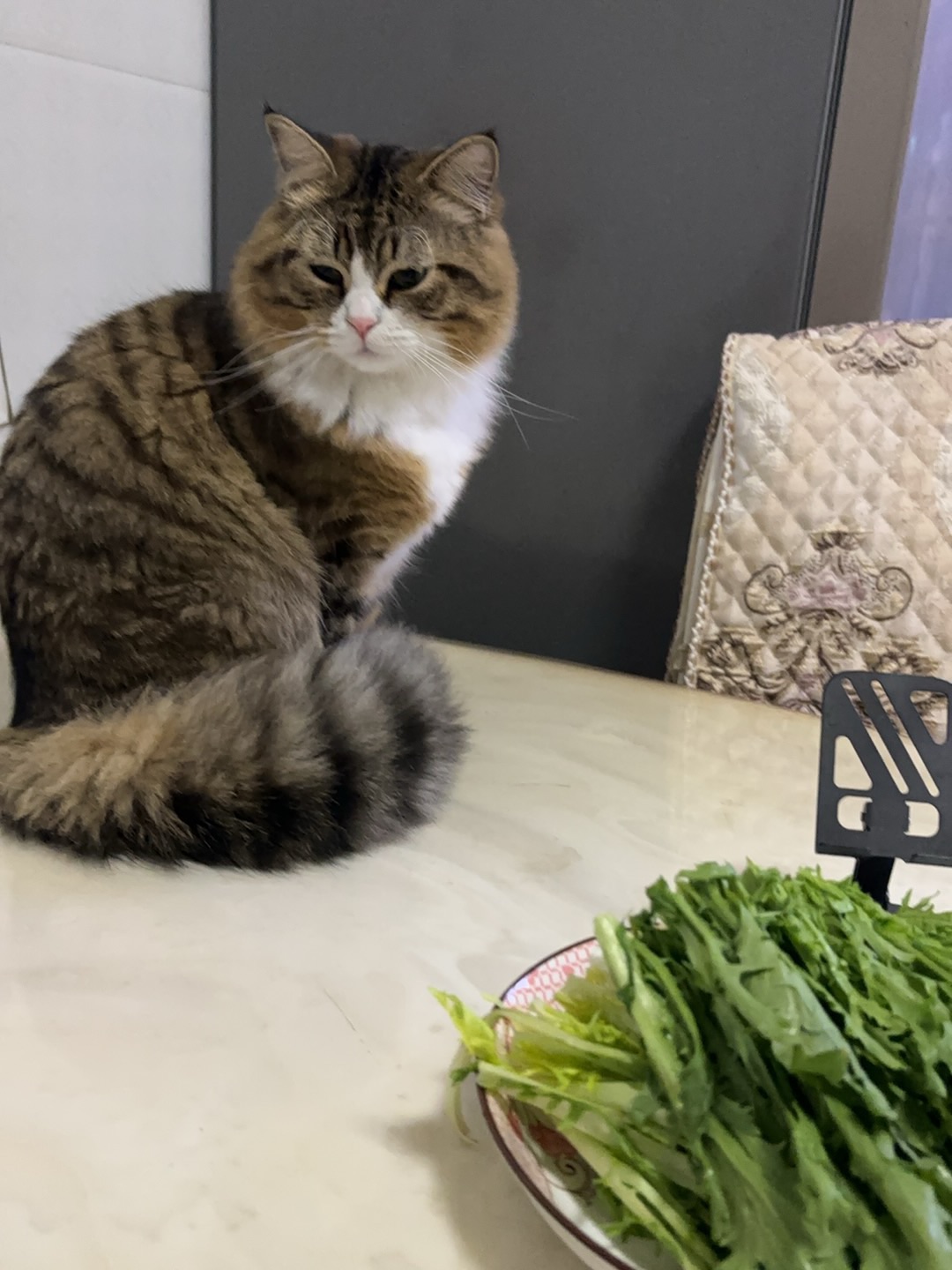 嘻嘻˙ᗜ˙(〃'▽'〃)哈哈˙ᗜ˙(◍•ᴗ•◍)(^-^)/哈哈✌︎˶╹ꇴ╹˶✌︎