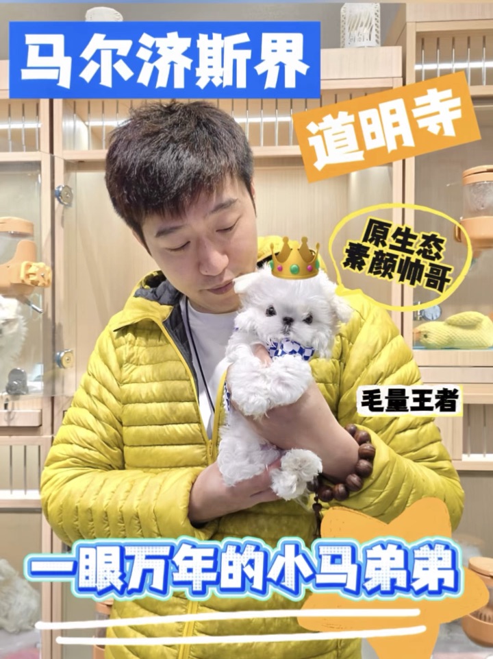 原生态就这么帅⁉️洗剪吹后还得了❗️🤯