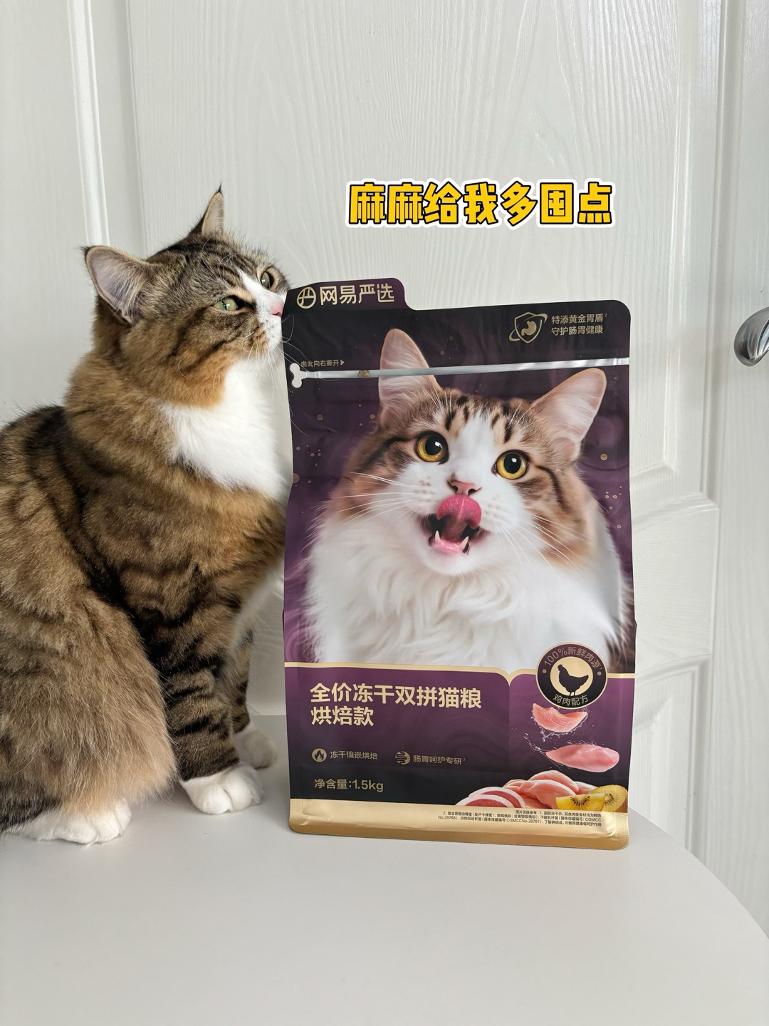 嘻嘻˙ᗜ˙(〃'▽'〃)哈哈˙ᗜ˙(◍•ᴗ•◍)(^-^)/哈哈✌︎˶╹ꇴ╹˶✌︎