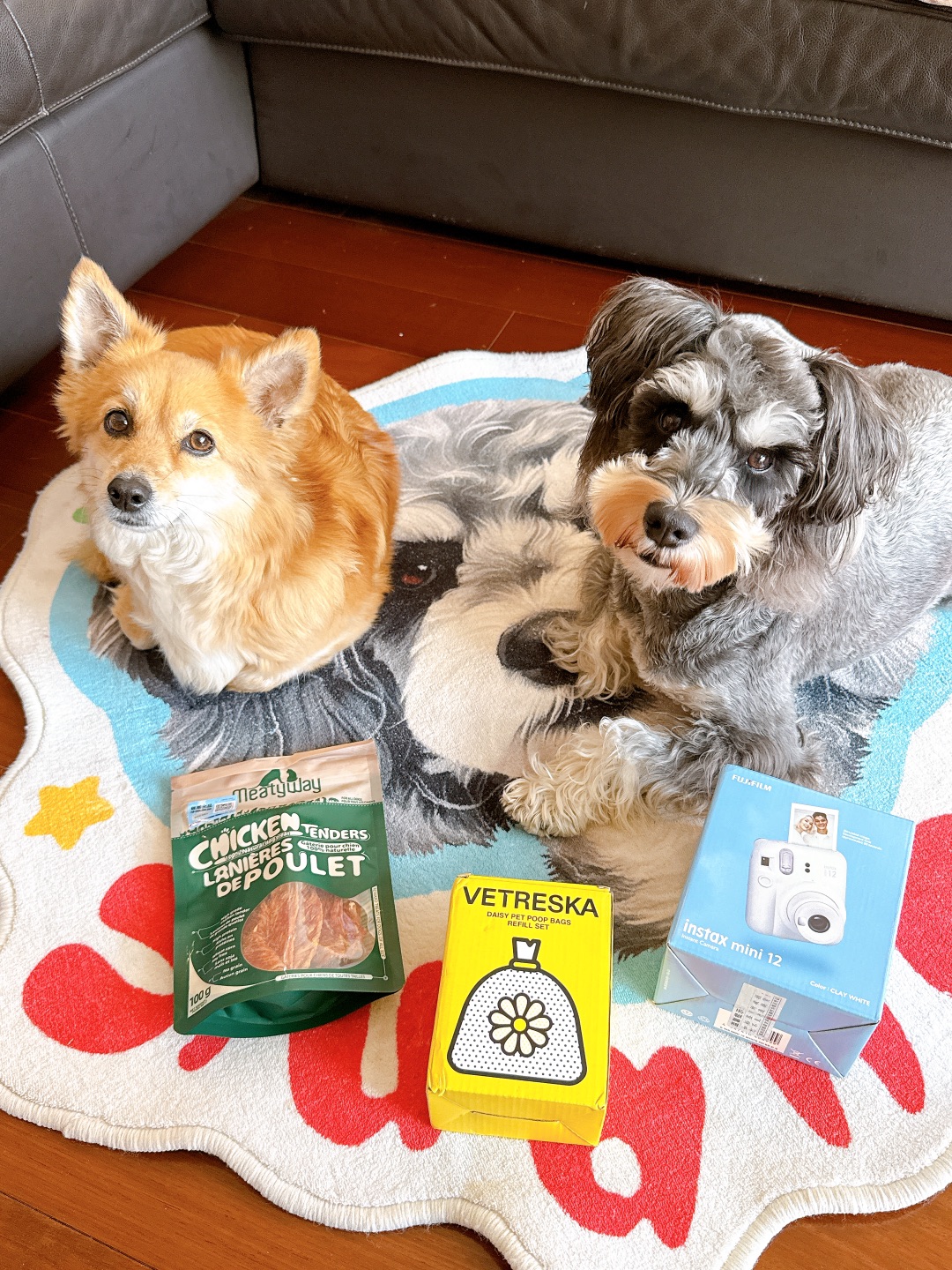 感谢西五街送给小斗的礼物🎁