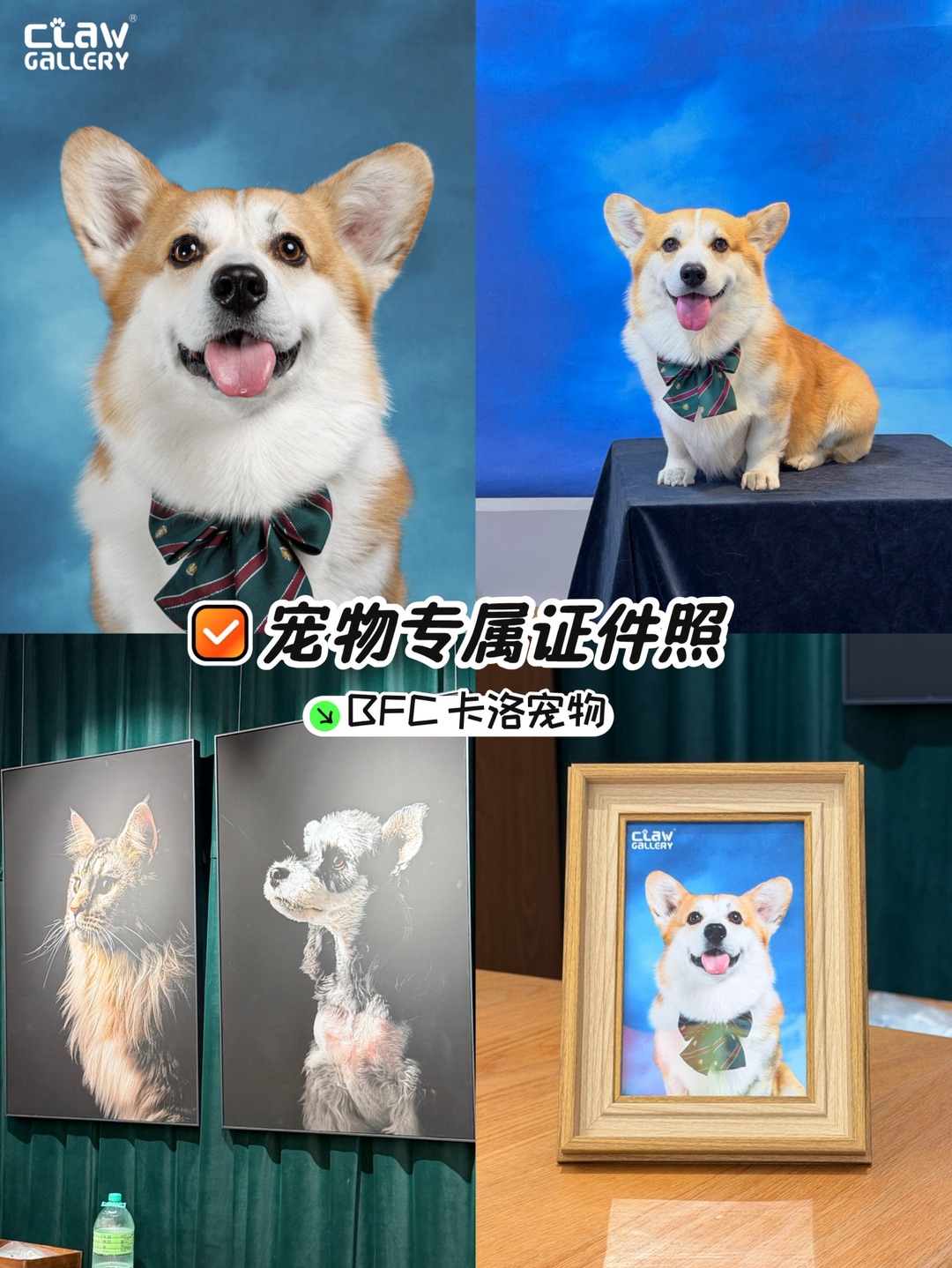 15mins轻松get宠物美式复古证件照📷