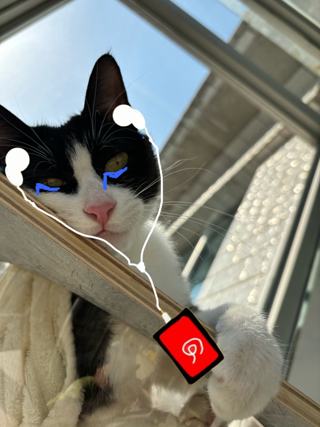 哈哈(*´・ｖ・)哈哈(◍•ᴗ•◍)哈哈✌︎˶╹ꇴ╹˶✌︎哈哈(❁´ω`❁)