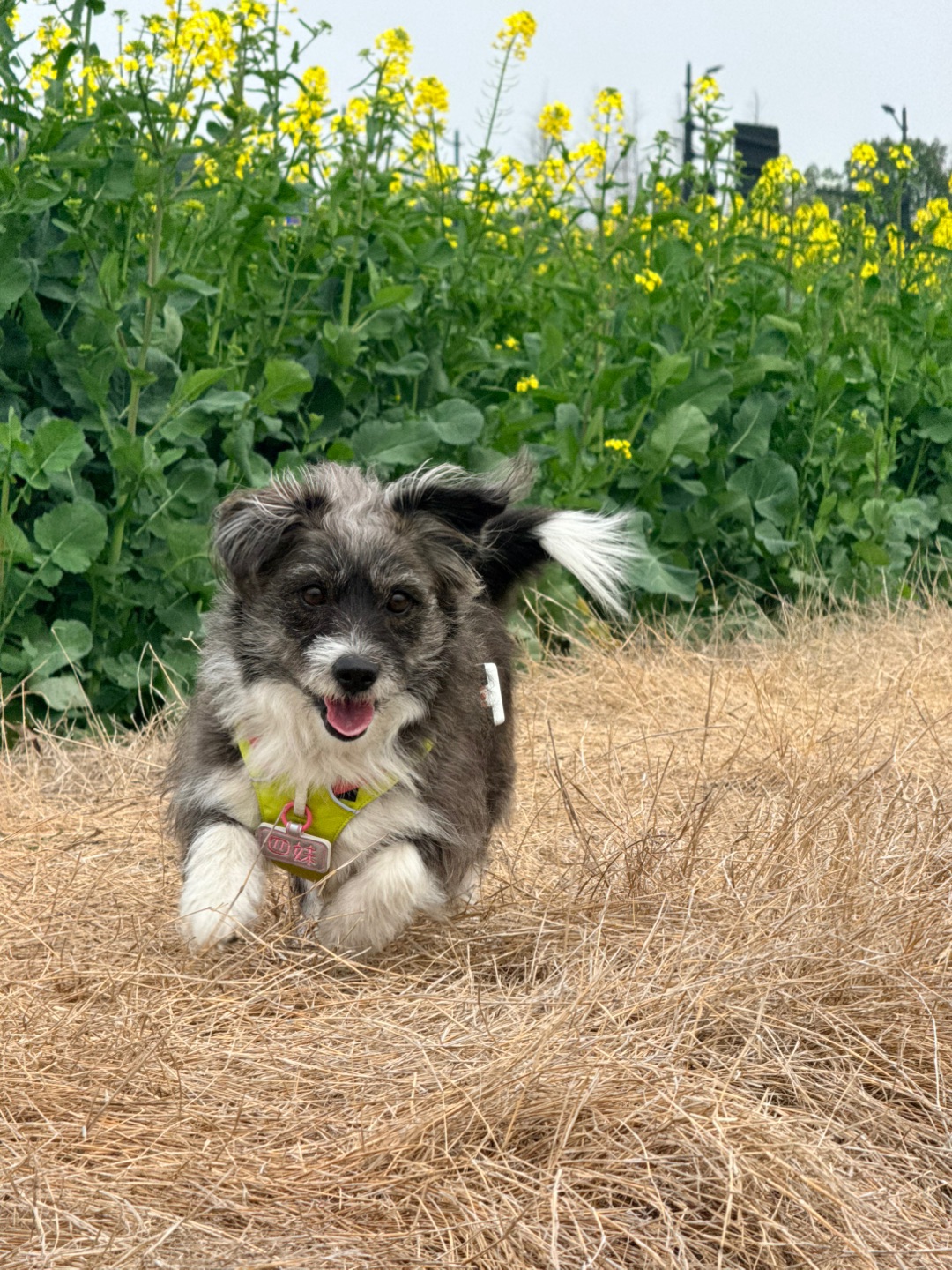 洗澡前的放纵日