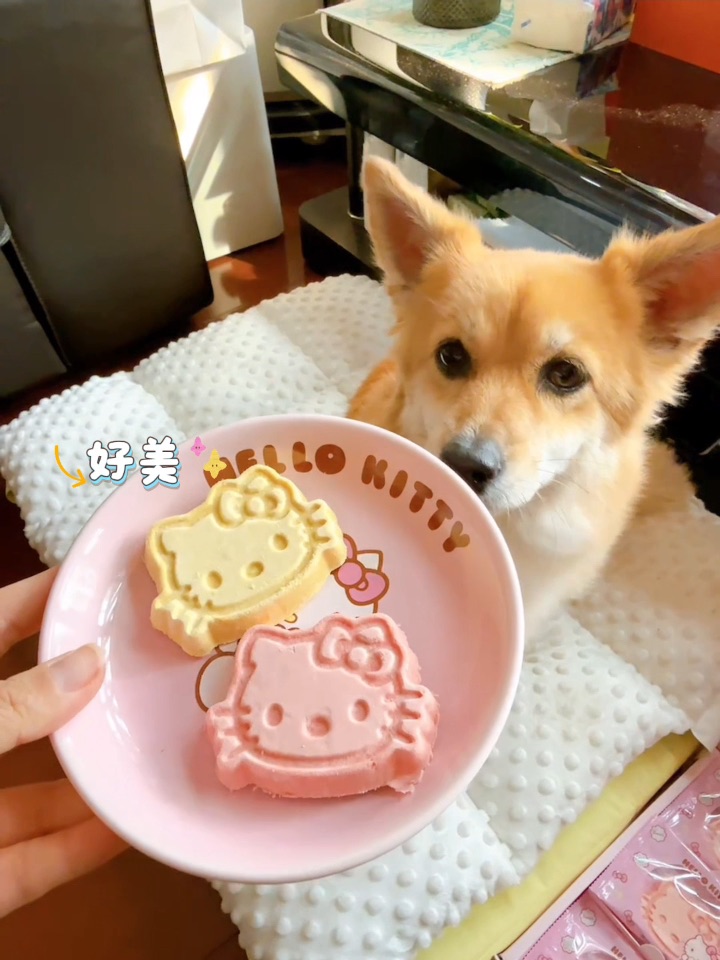 家里来了漂亮姐姐🥰