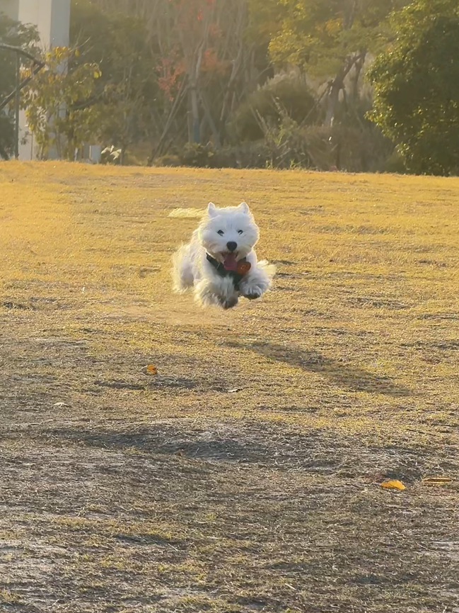 准备好了吗 我是快乐小马🐎！