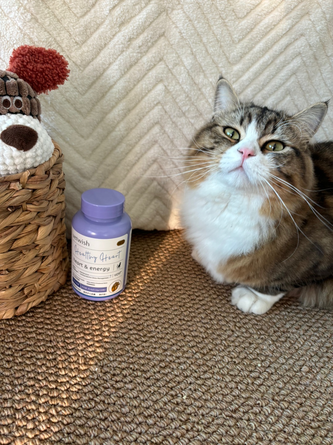 哈哈(〃'▽'〃)哈哈✌︎˶╹ꇴ╹˶✌︎哈哈(〃'▽'〃)哈哈˙ᗜ˙哈哈(〃'▽'〃)