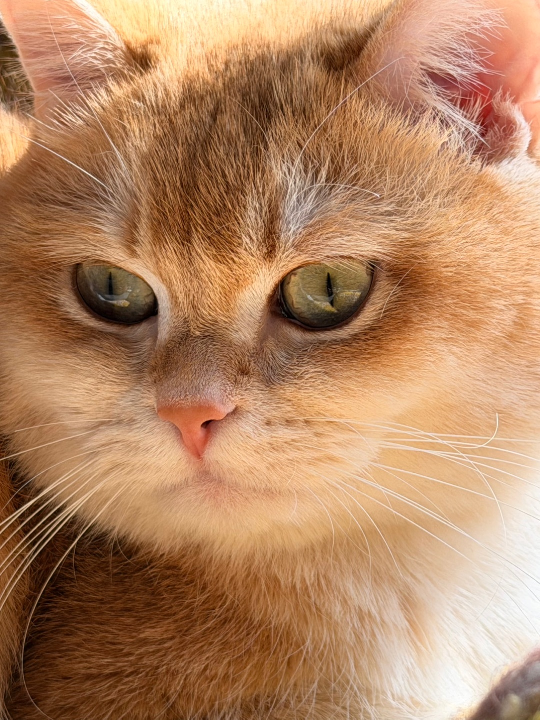 炯炯有神大眼睛👀