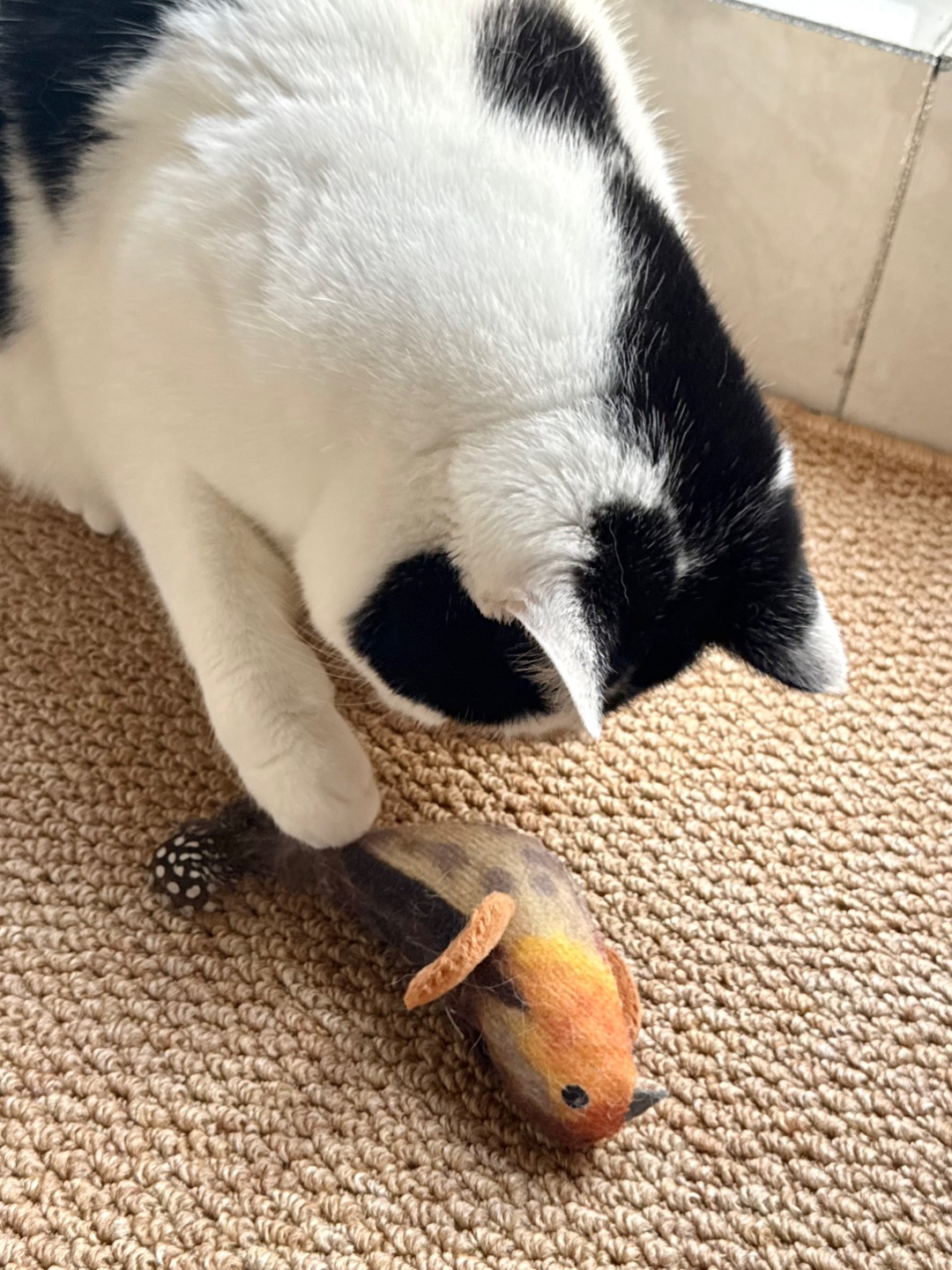 芝麻测评｜仿剑麻地垫