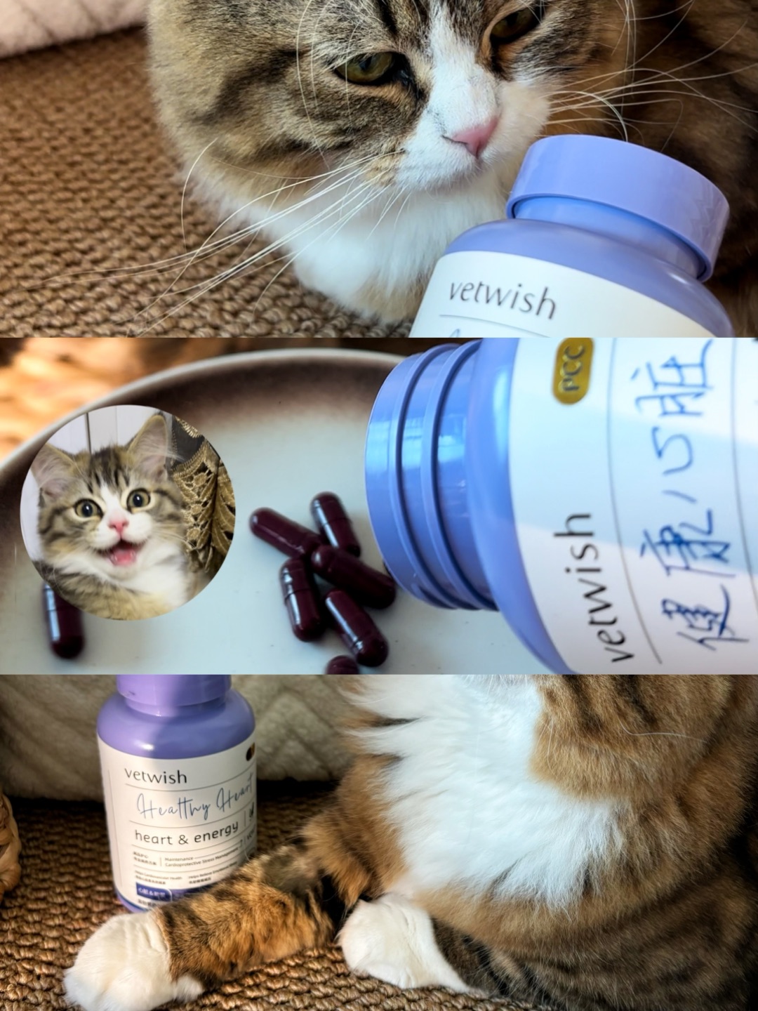 哈哈(〃'▽'〃)哈哈✌︎˶╹ꇴ╹˶✌︎哈哈(〃'▽'〃)哈哈˙ᗜ˙哈哈(〃'▽'〃)