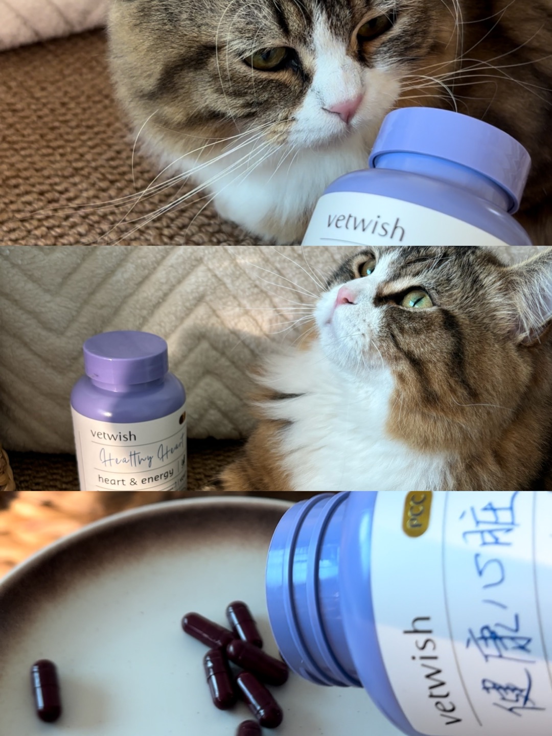 哈哈(〃'▽'〃)哈哈✌︎˶╹ꇴ╹˶✌︎哈哈(〃'▽'〃)哈哈˙ᗜ˙哈哈(〃'▽'〃)