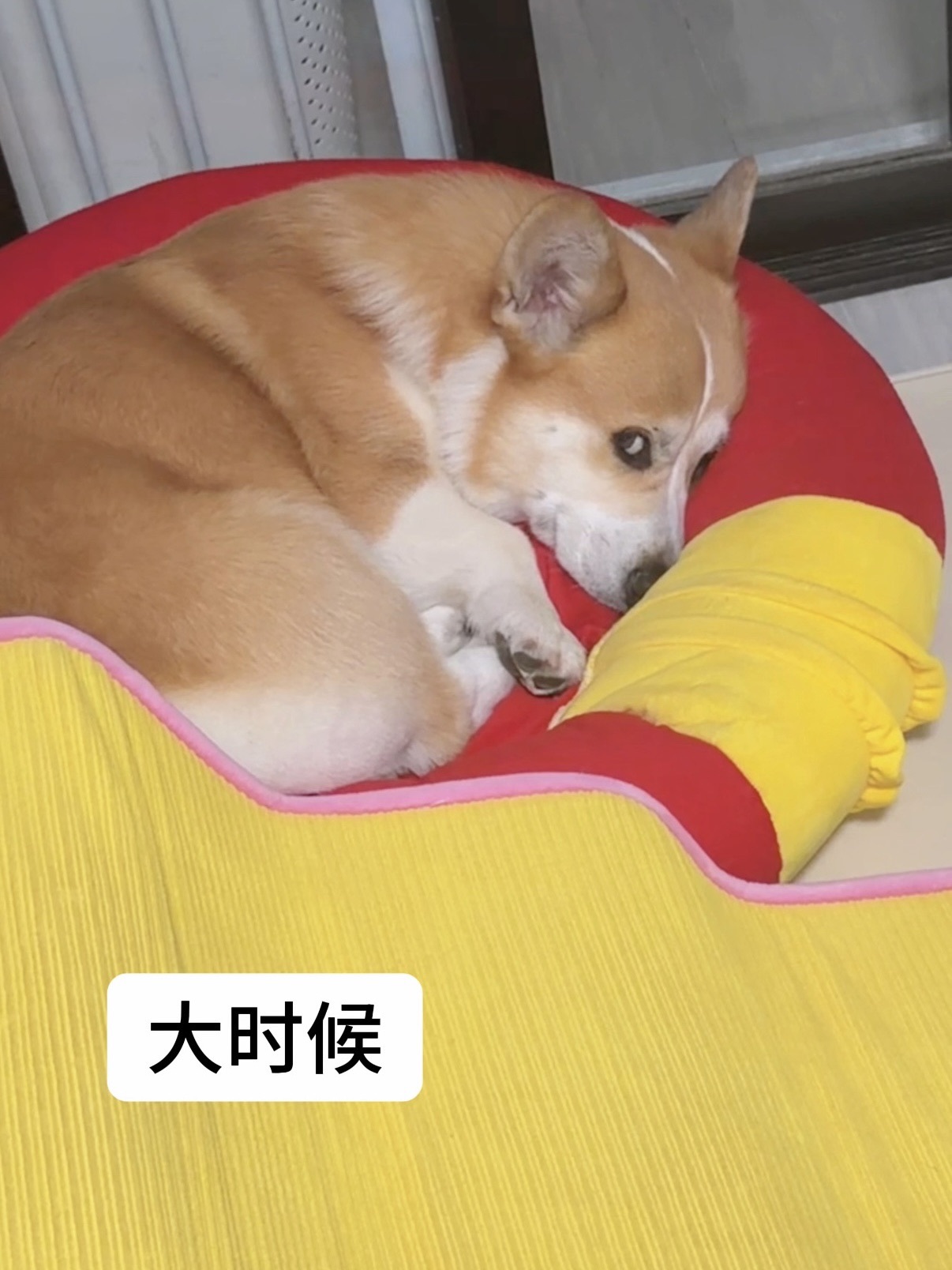 大时候vs小时候