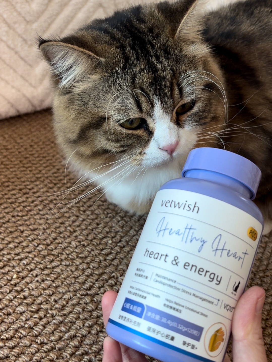 哈哈(〃'▽'〃)哈哈✌︎˶╹ꇴ╹˶✌︎哈哈(〃'▽'〃)哈哈˙ᗜ˙哈哈(〃'▽'〃)