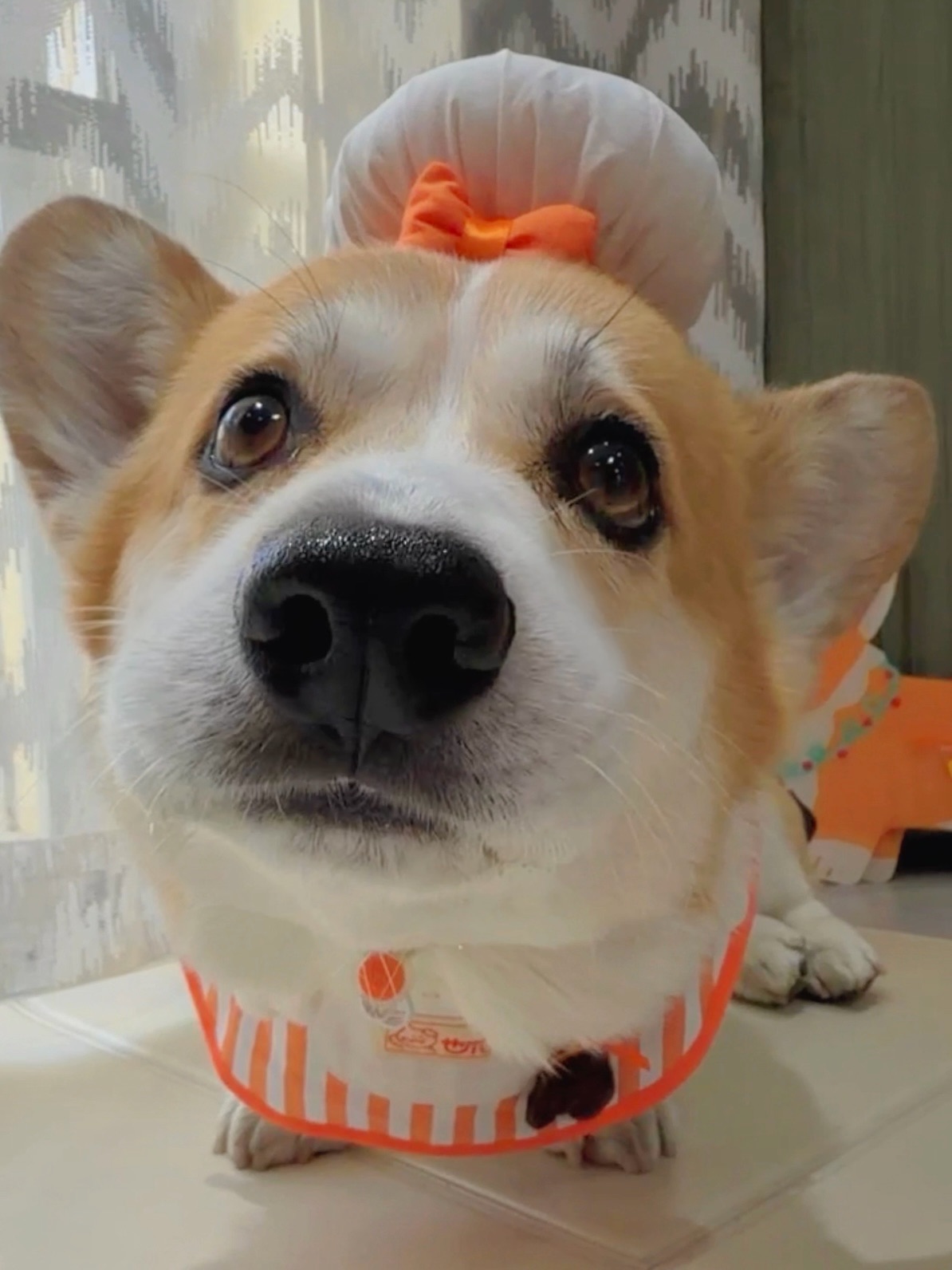 室友吃东西吧唧嘴怎么办啊！！