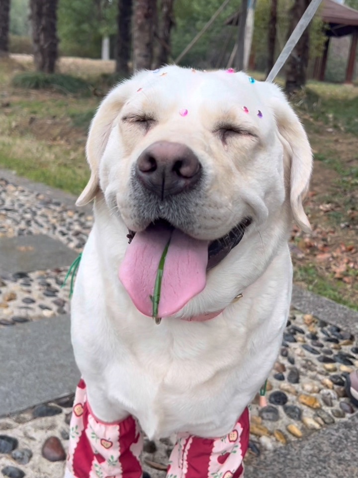 踏个新鲜的春🌸🐾