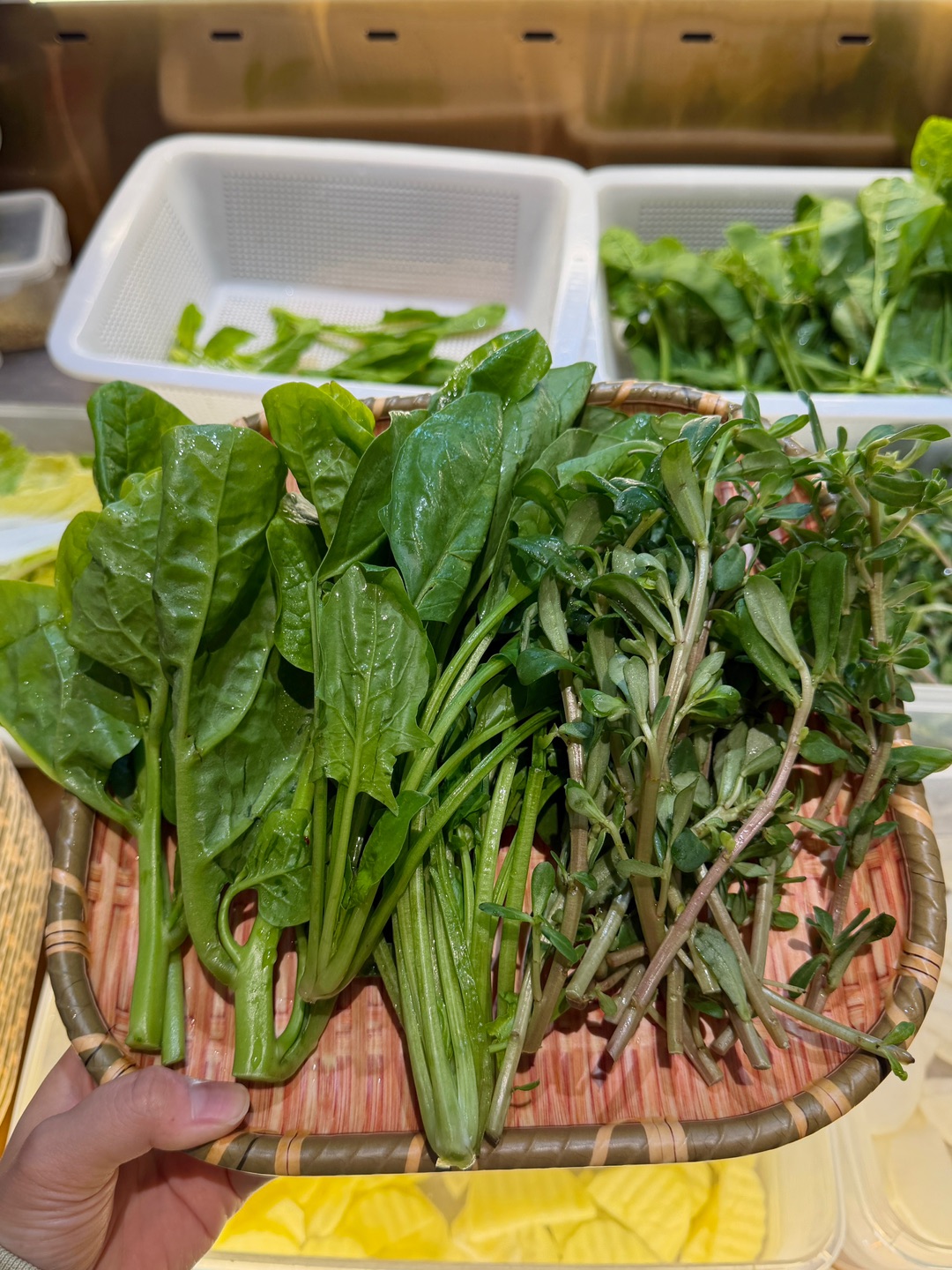 落地湛江第一顿！！！菌子火锅吃美了🥹。。。  在湛江也能吃到特色的云南菌菇火锅啦 一上桌先被菌子震住 野生菌九宫格拼盘 每一格都是不一样的菌子 新鲜感直接拉满‼️ . 🔥推荐： ✔️招牌清远鸡 带标签的正宗清远🐔入口鲜香 肉质紧实却不干柴  ✔️野生菌拼盘 🈶美味牛肝菌、黄牛肝菌、见手青、姬松茸菌和鸡油菌等9种菌菇 都是云南新鲜空运到店 每一口都是脆脆嫩嫩的口感 汤底新鲜先熬 煮出来的菌汤真的ju...