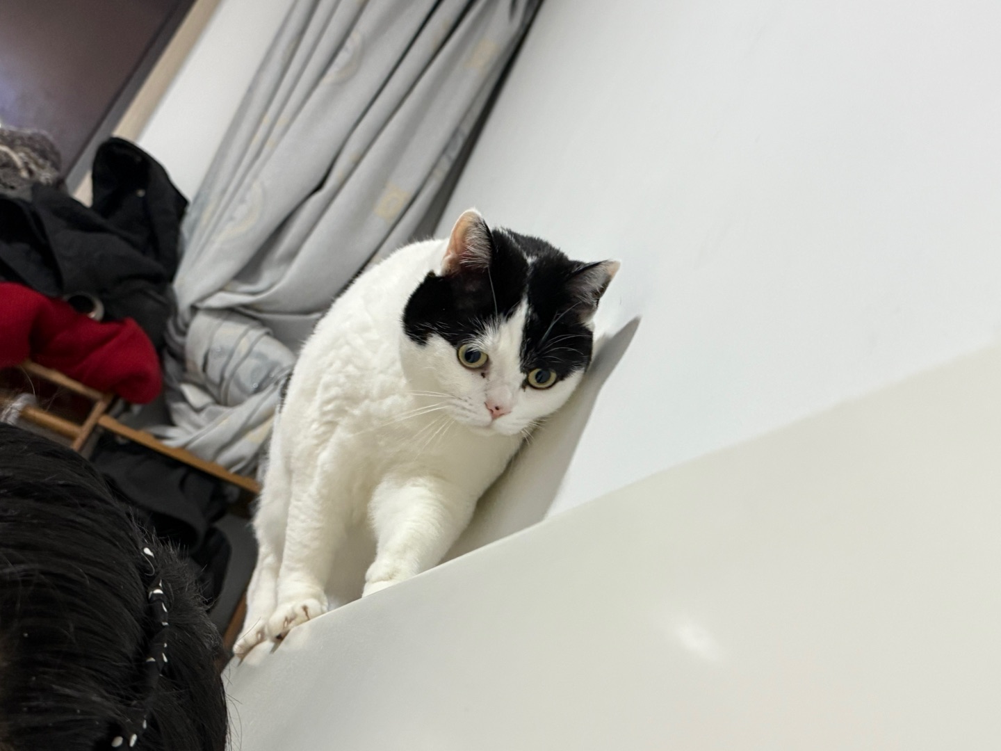 成为岩猫第一步