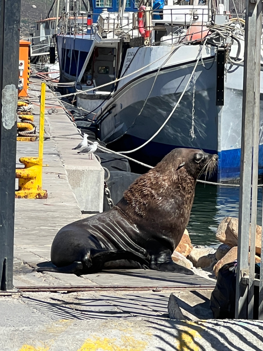 卸下疲态，才能更好地出发！