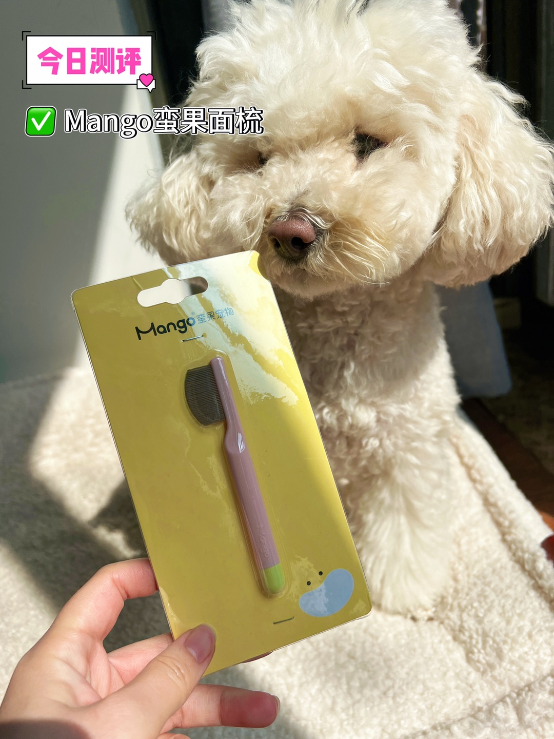 📝今日测评｜Mango蛮果面梳