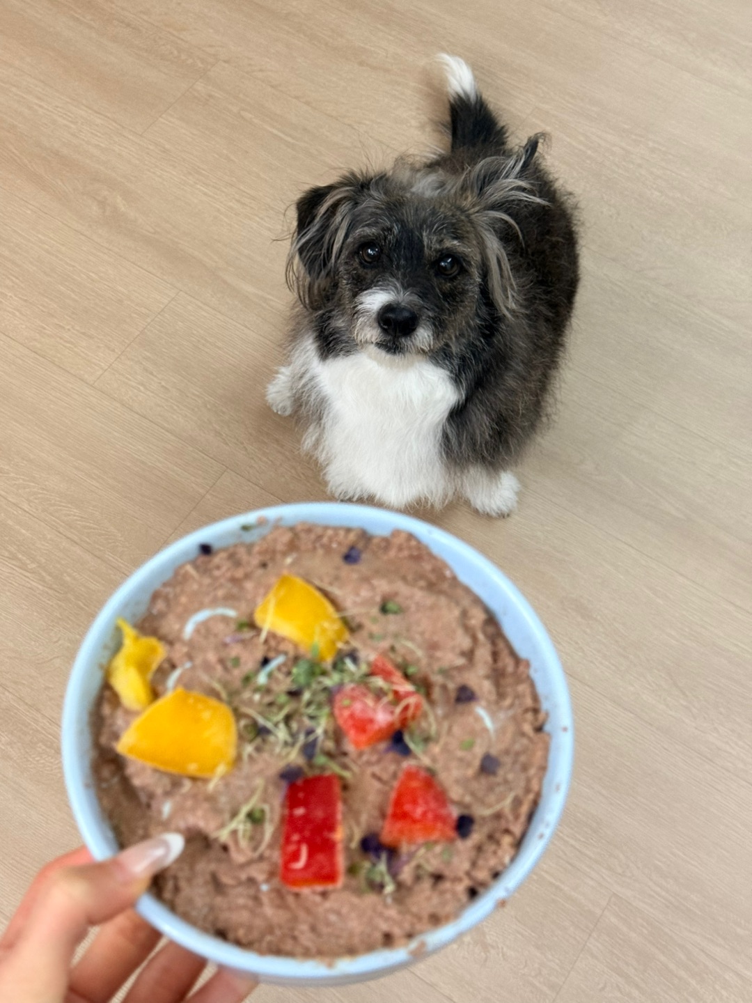 谁懂每天吃了就睡的含金量