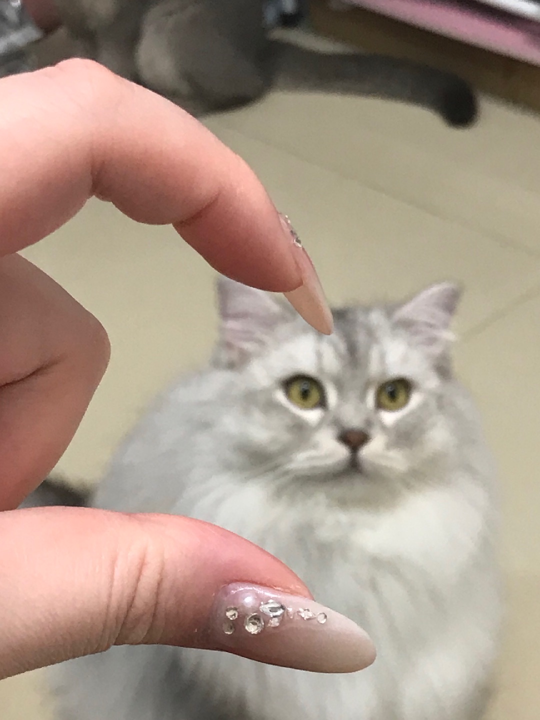 来给小饼比个❤️