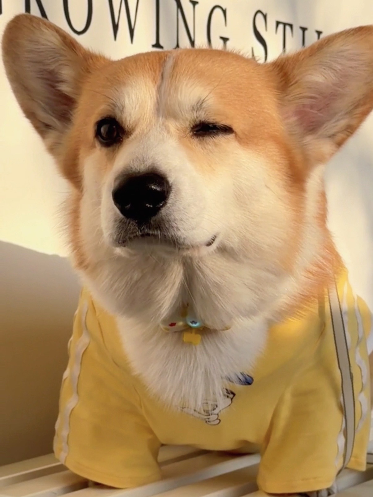 我嗅嗅嗅嗅嗅嗅嗅嗅