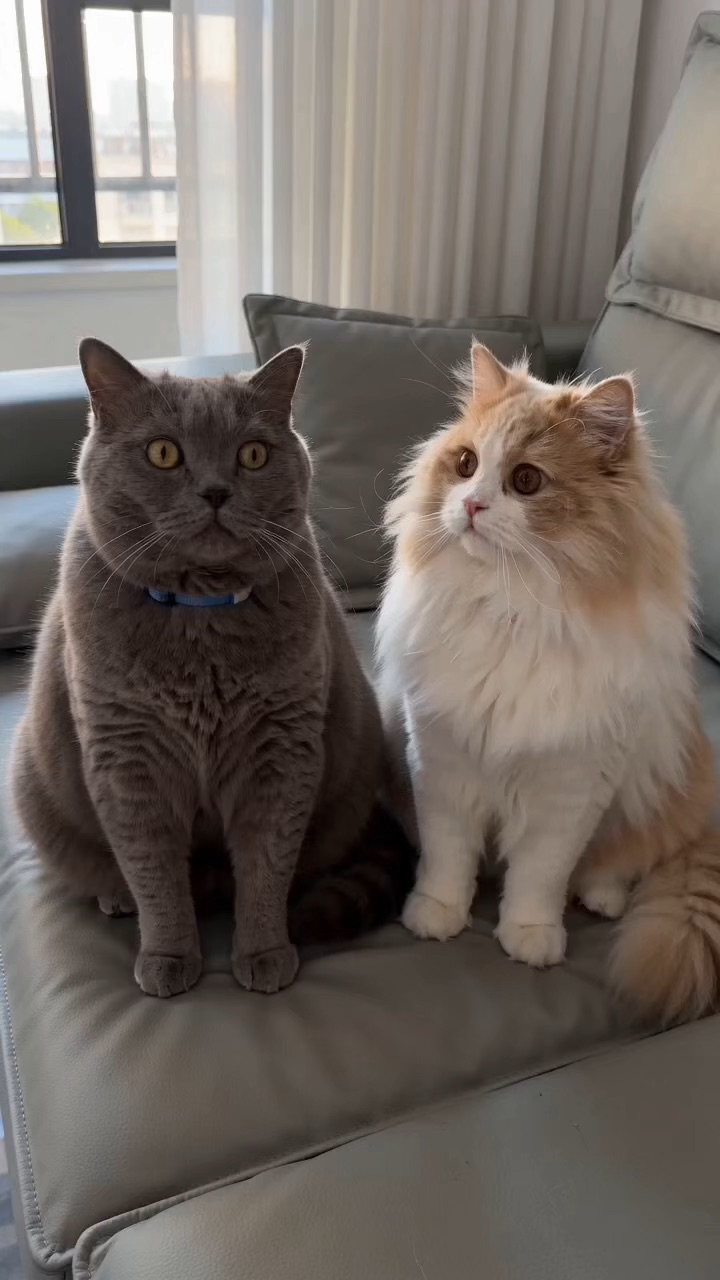 大人的事小孩少打听