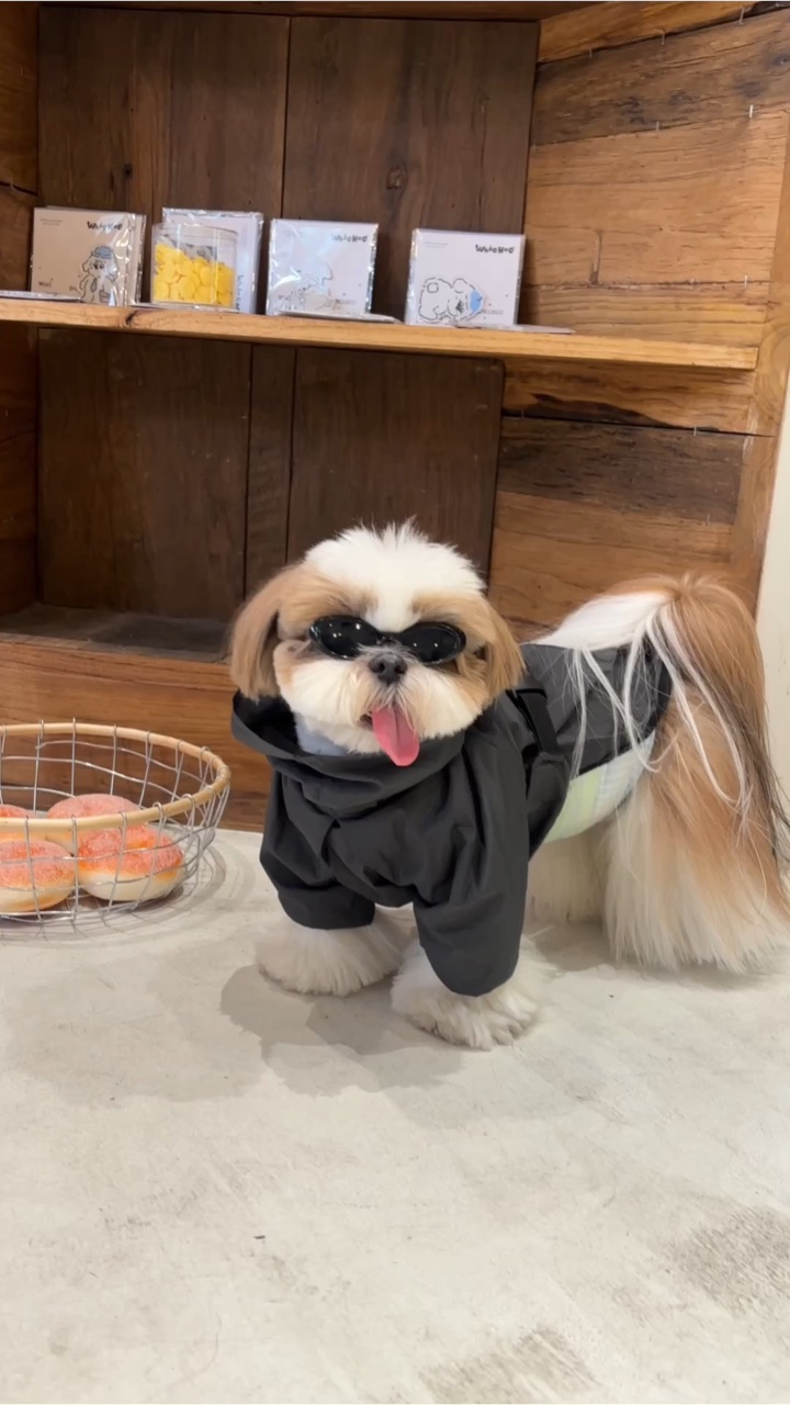 是谁穿着纸尿裤就开始耍酷？